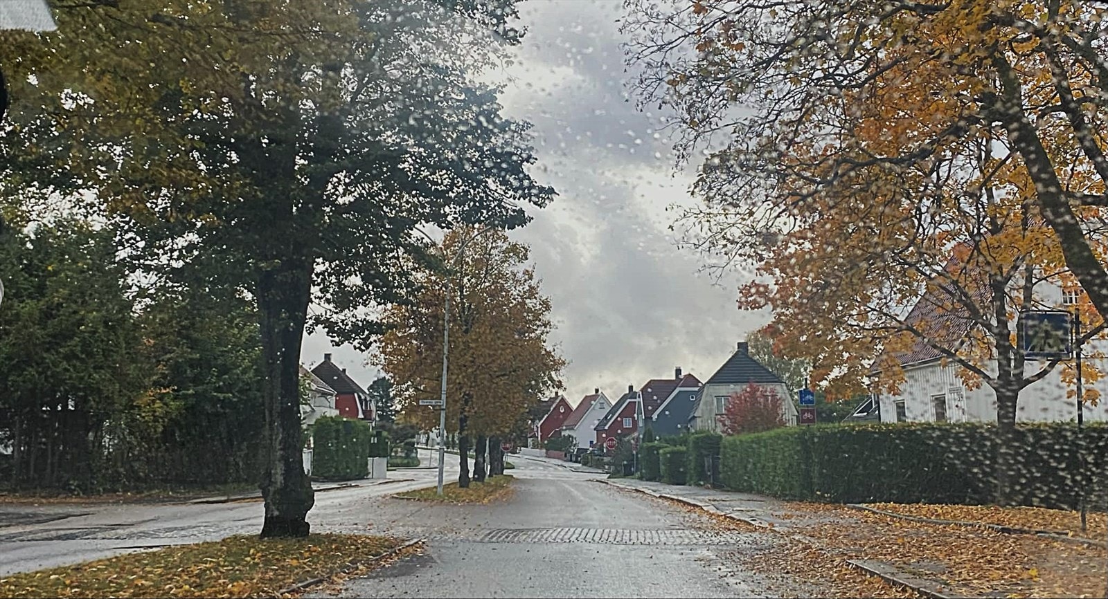 Høst i Sarpsborg. Galleribilde