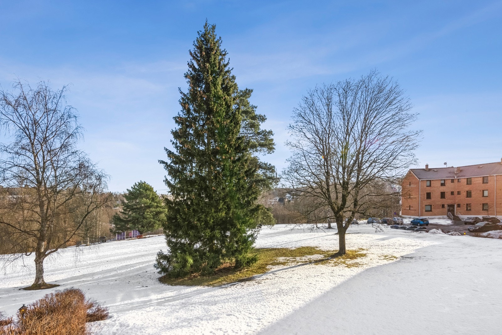 Fellesområder Galleribilde