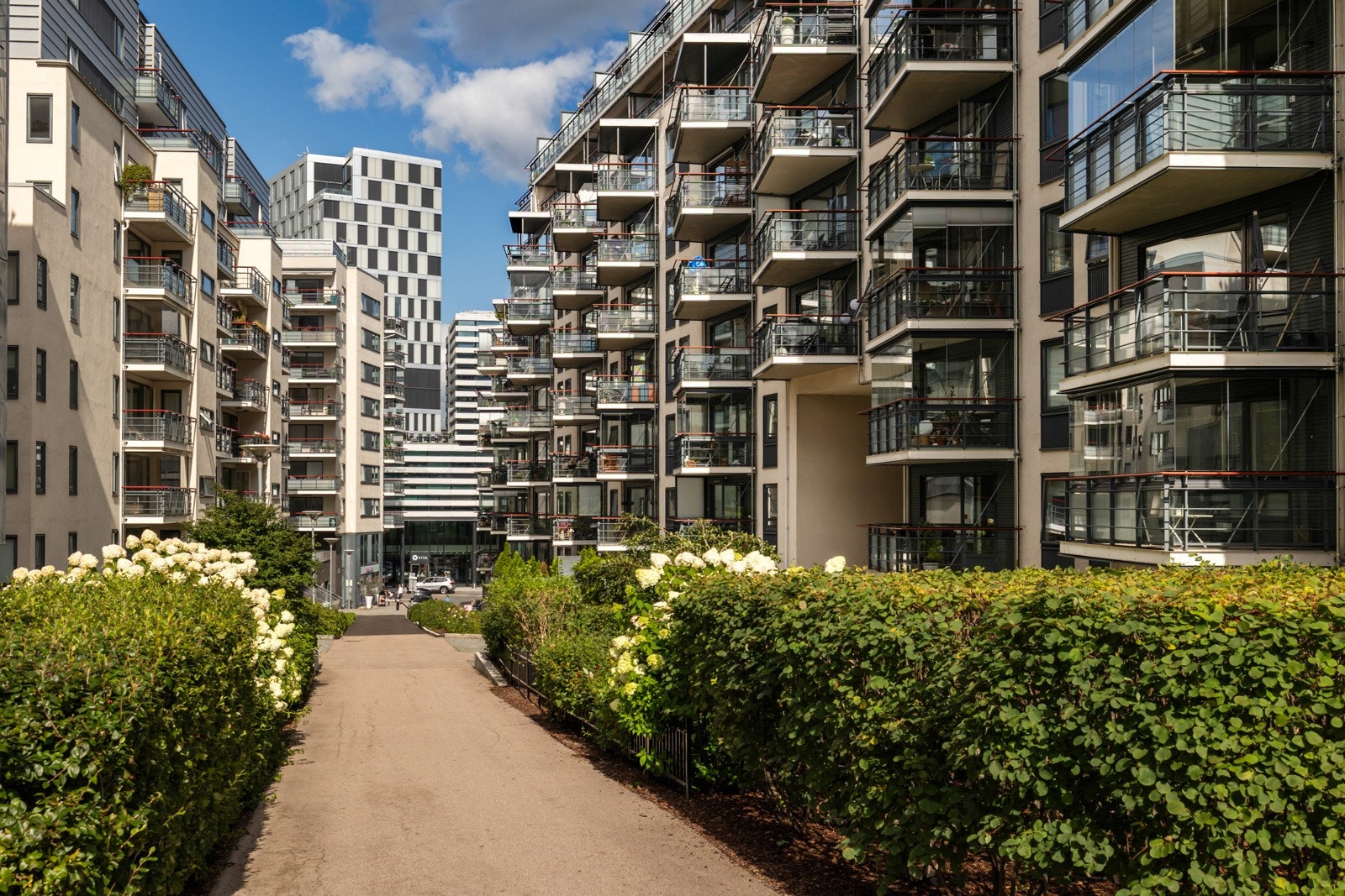 Sameiet har en nydelig felles tomt med plen, interne stier og diverse beplantning Galleribilde