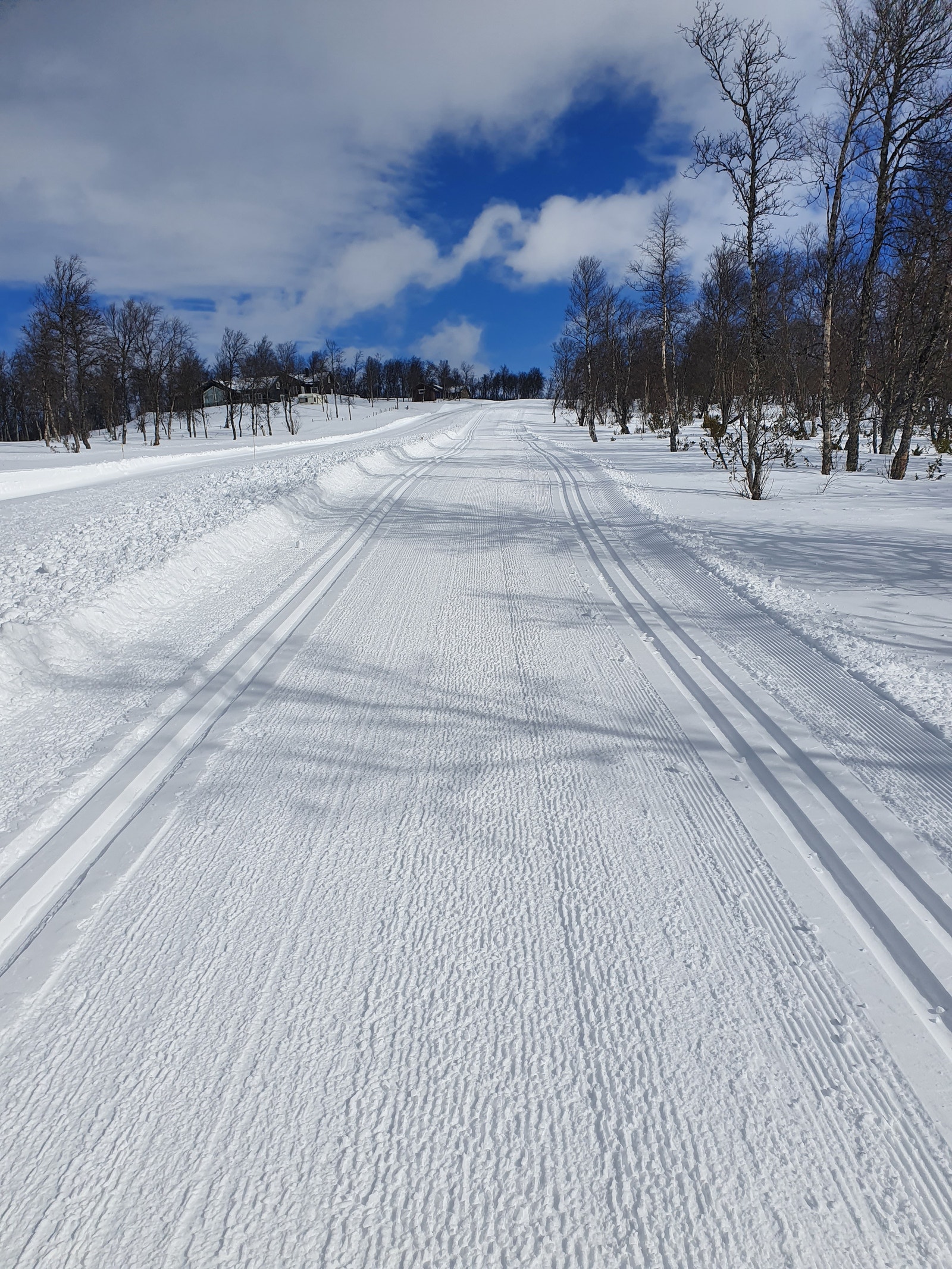 Skiløypa går rett ved hytteveggen. Galleribilde