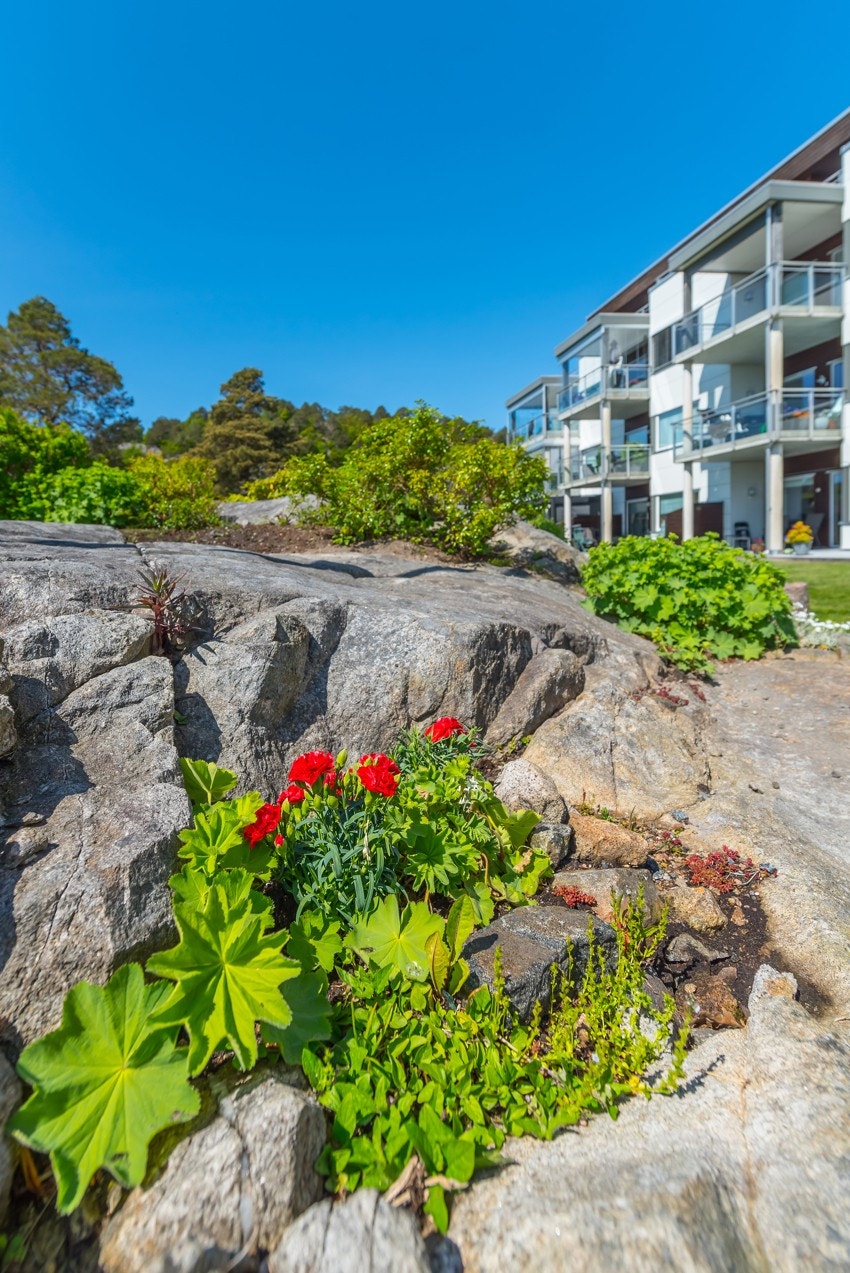 Bilde 1 Hagen Galleribilde