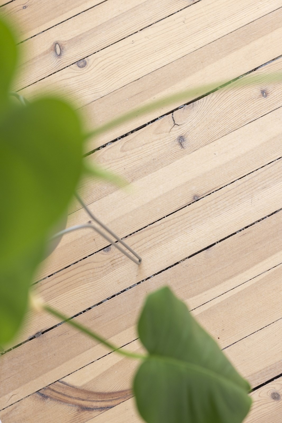 Det er pent, originalt tregulv på alle rom (bortsett fra bad). Galleribilde