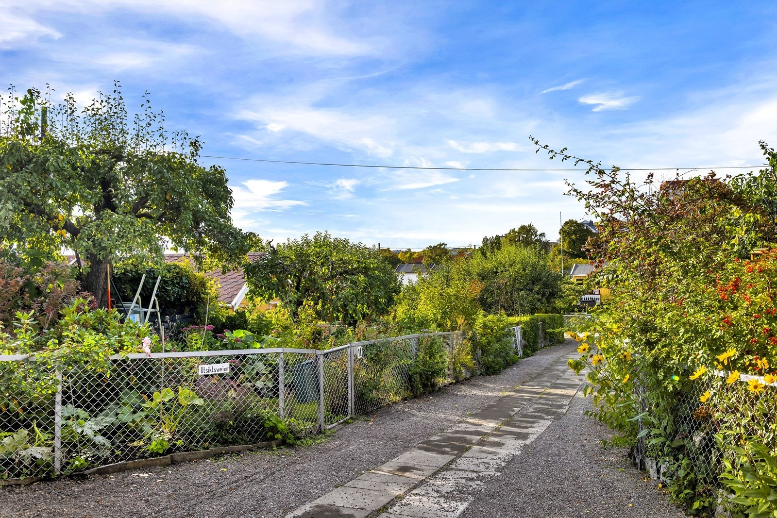 Kort vei fra leiligheten ligger denne utrolige koselige kolonihagen. Galleribilde