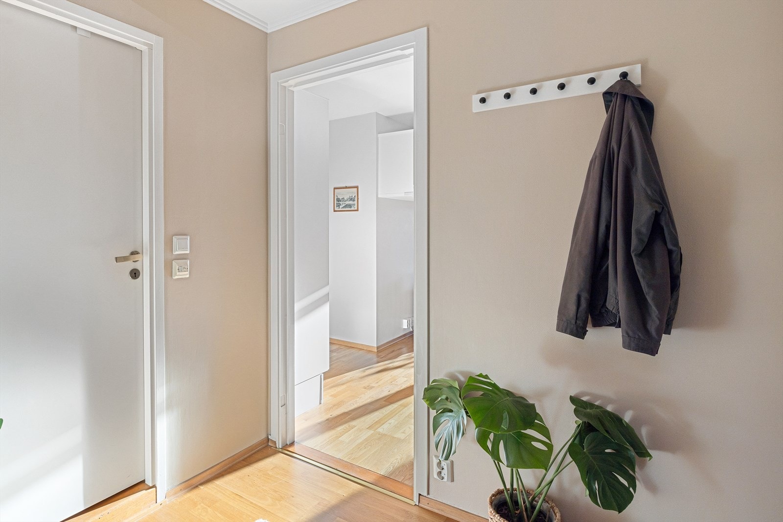 Laminatgulv og overflater malt i en moderne farge i 2024 gir en oppgradert følelse i gangen. Galleribilde