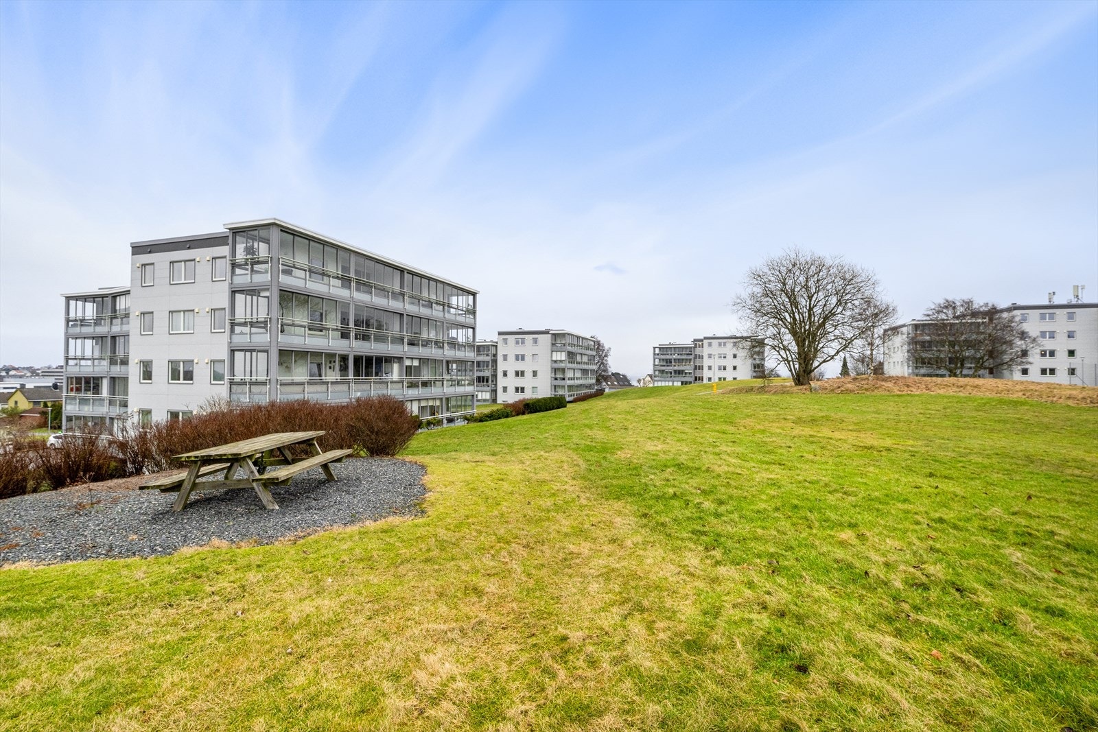 Fellesarealene til borettslaget er pent opparbeidet med gressplen og ulik beplanting. Galleribilde