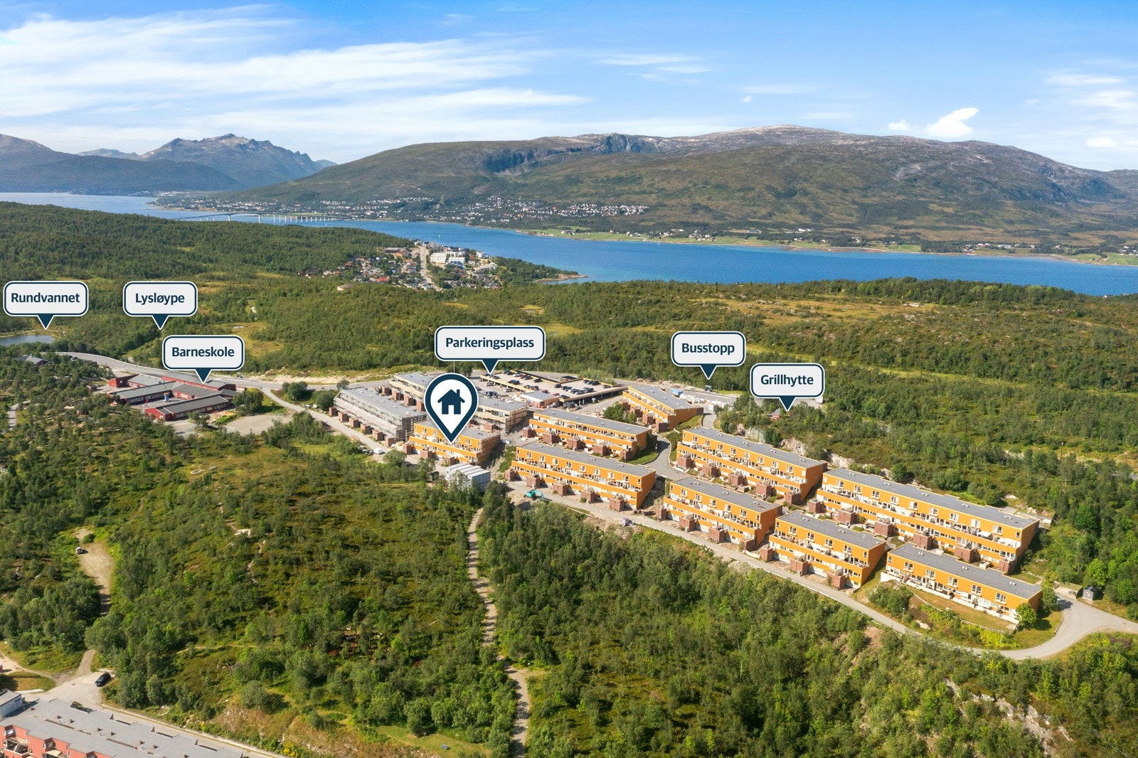 Nærområdet. Galleribilde