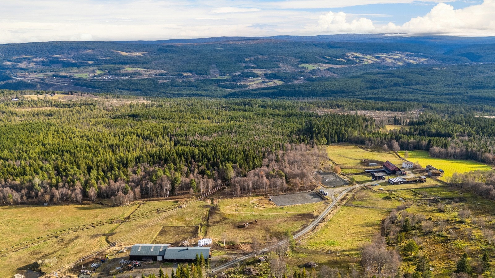 Gårdstun Galleribilde