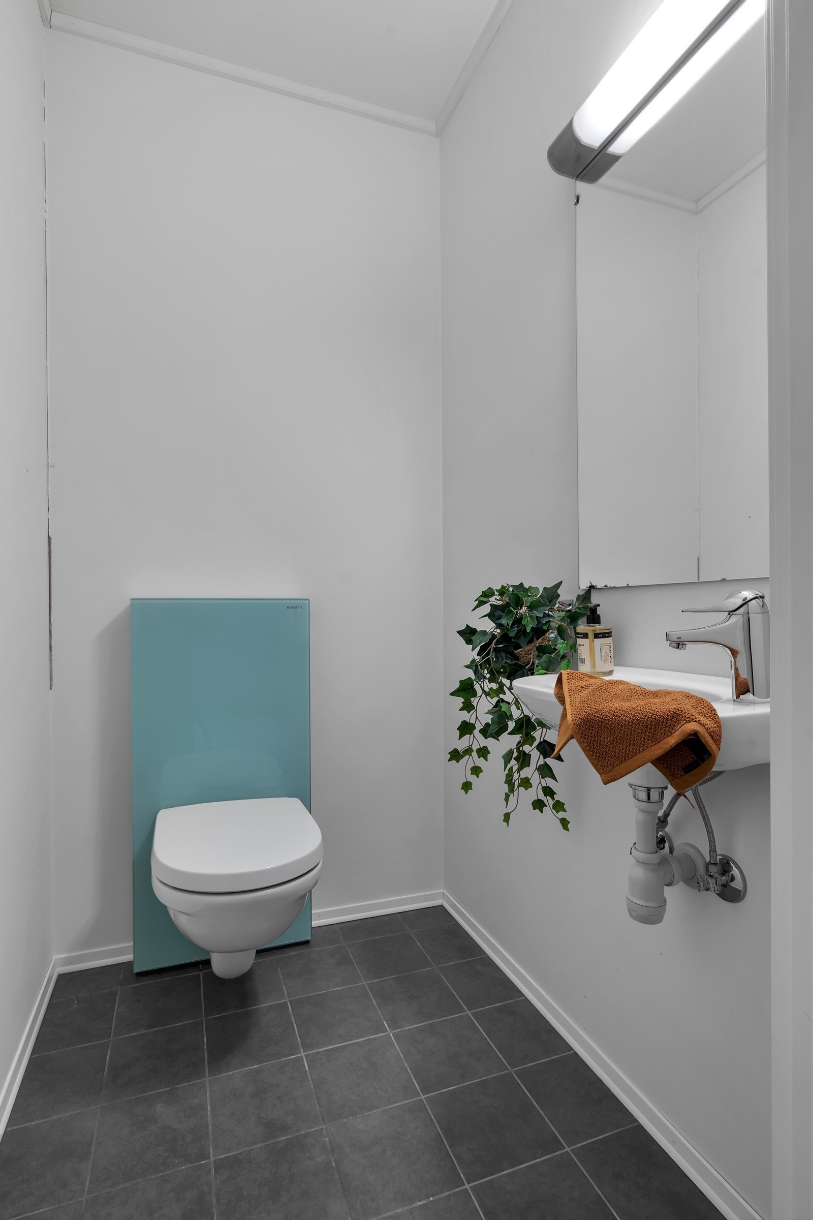 Eget toalettrom. Galleribilde