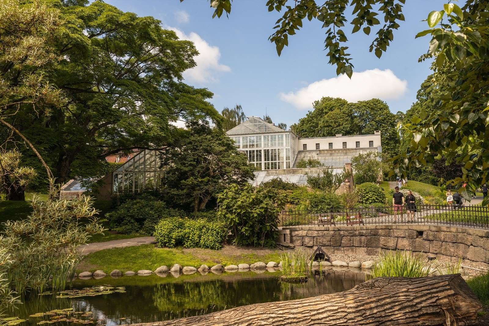 Botanisk hage er kun noen minutters spasertur fra leiligheten. Galleribilde