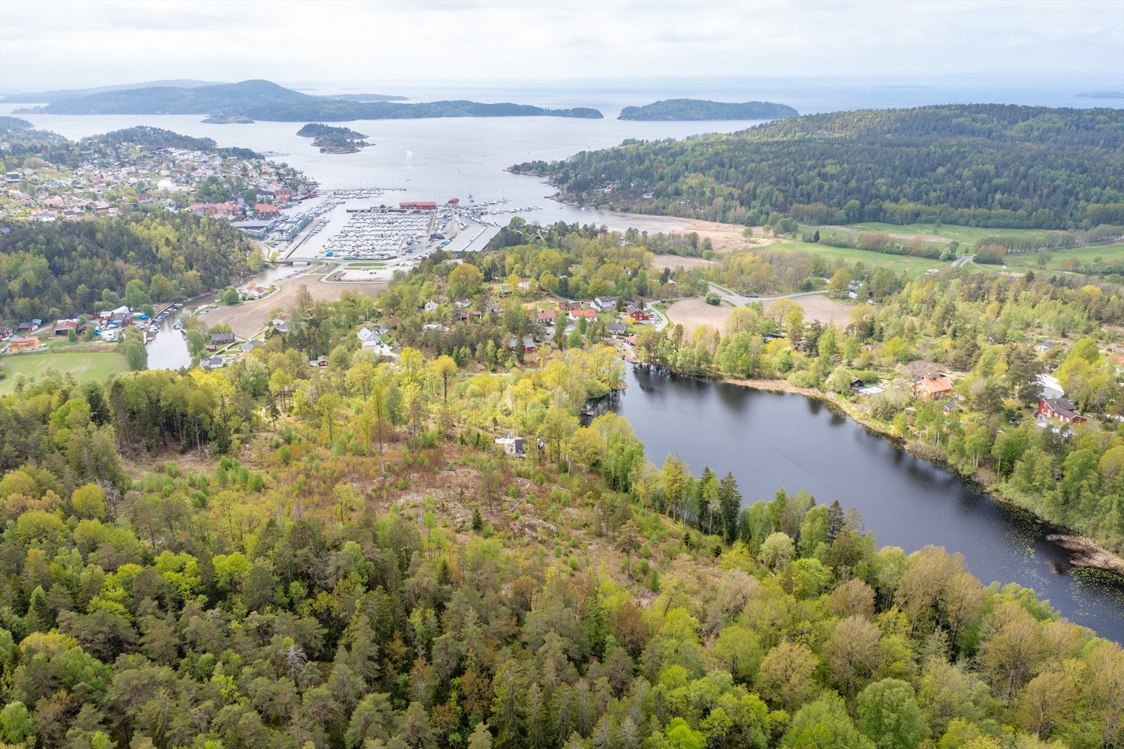 Kolåstjernet Galleribilde