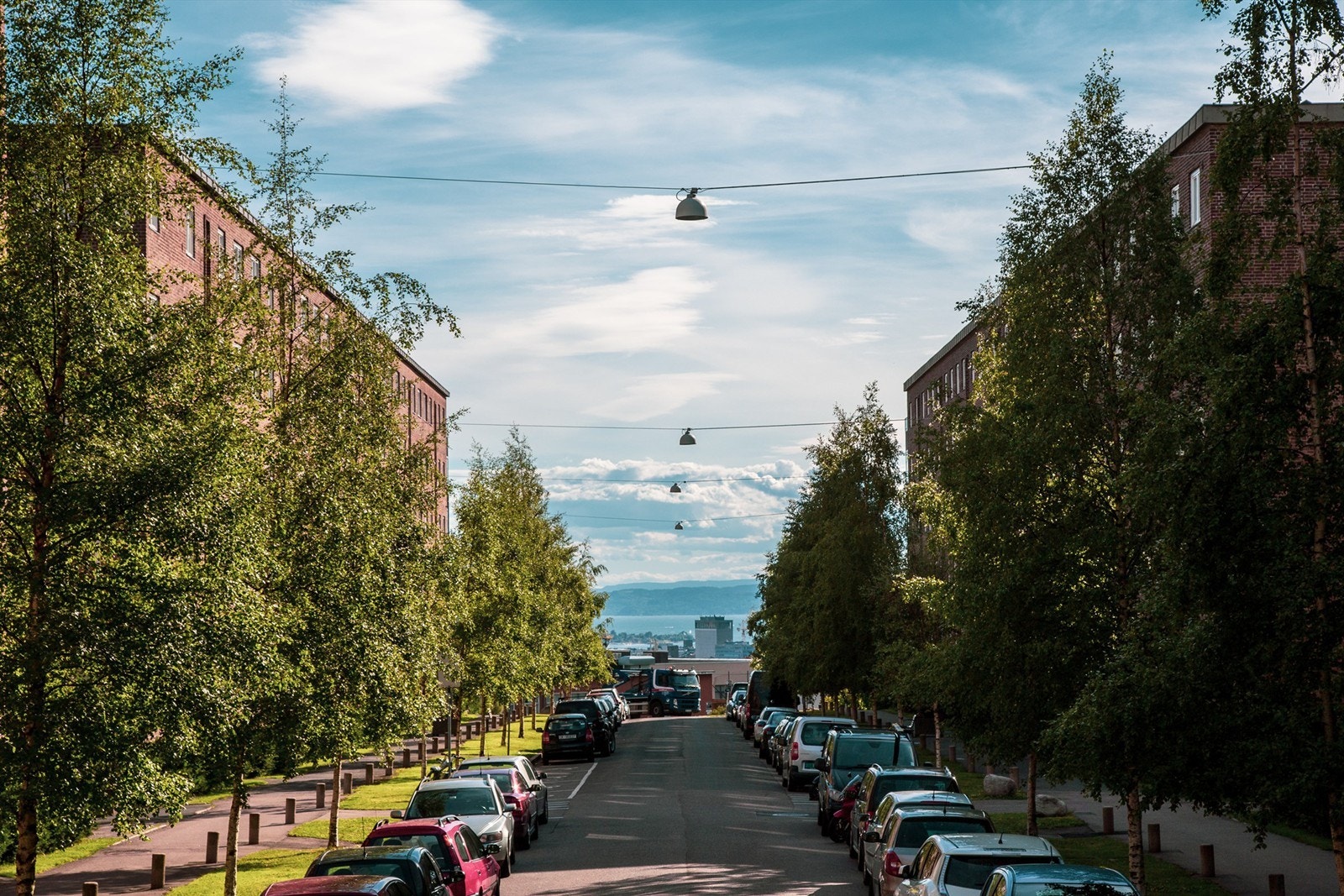 De kjente grønne lungene Torshovdalen, Botanisk hage og Tøyenparken/Ola Narr er populære rekreasjonsområder for de mosjonsglade som ikke ligger langt unna. Galleribilde