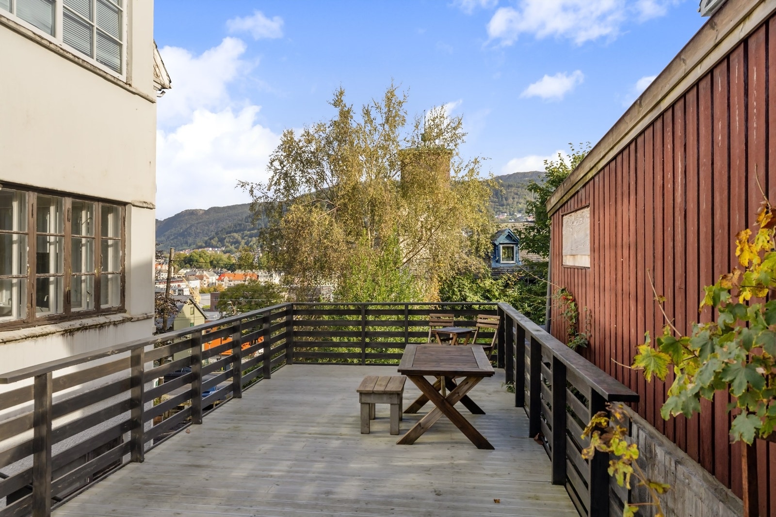 Felles hage og uteområder. Galleribilde