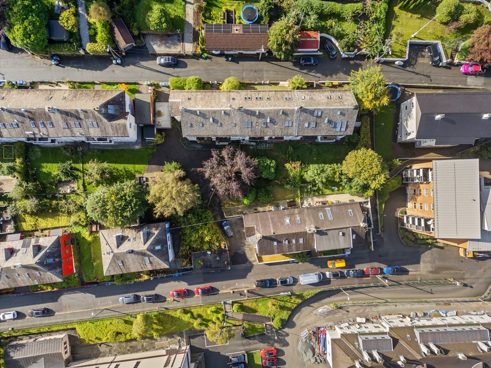 Området sett ovenfra Galleribilde