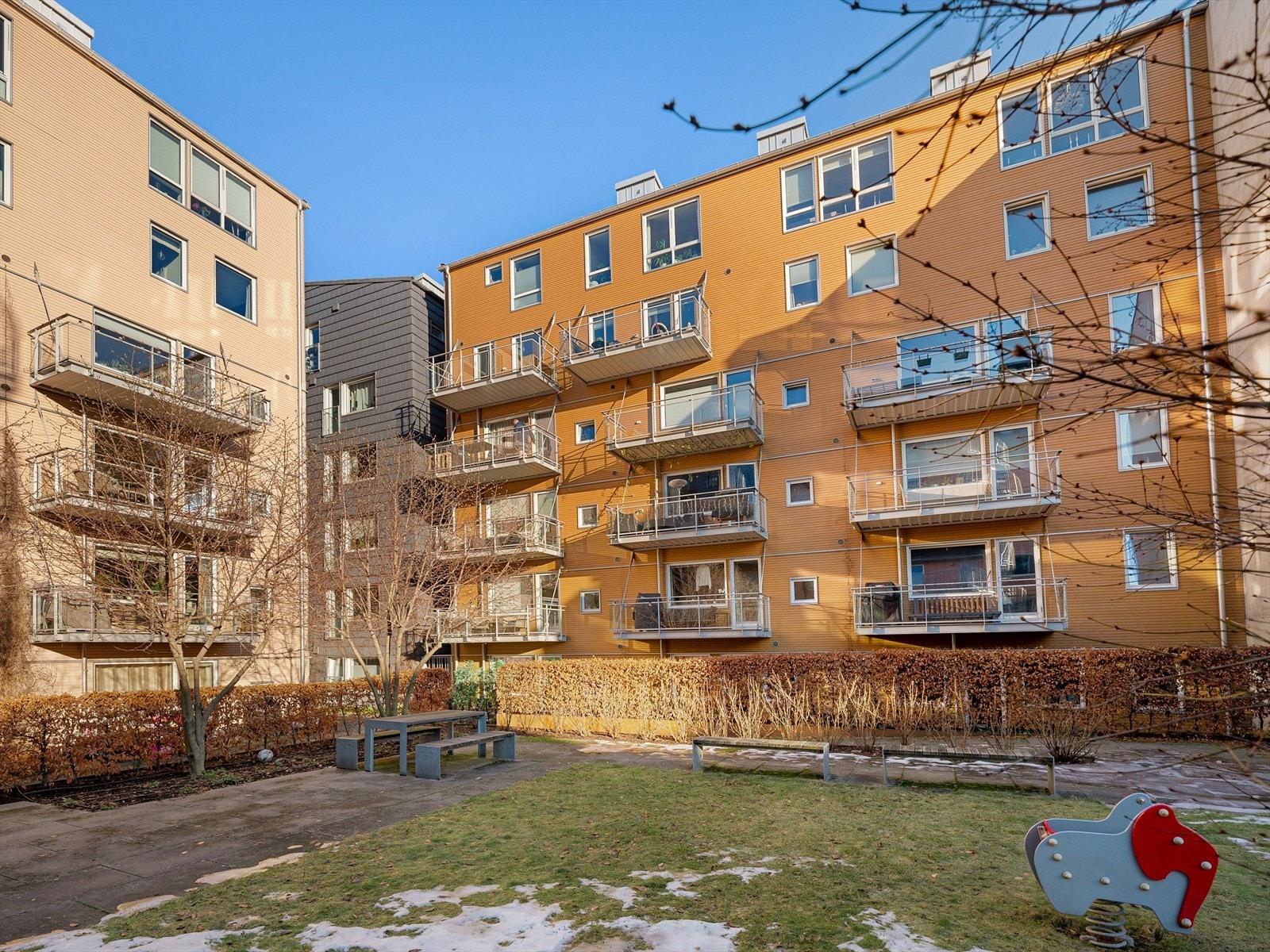 Frodig indre gårdsrom med blant annet kirsebærtre som blomstrer på våren. Det er over hundre planter i sameiet. Galleribilde