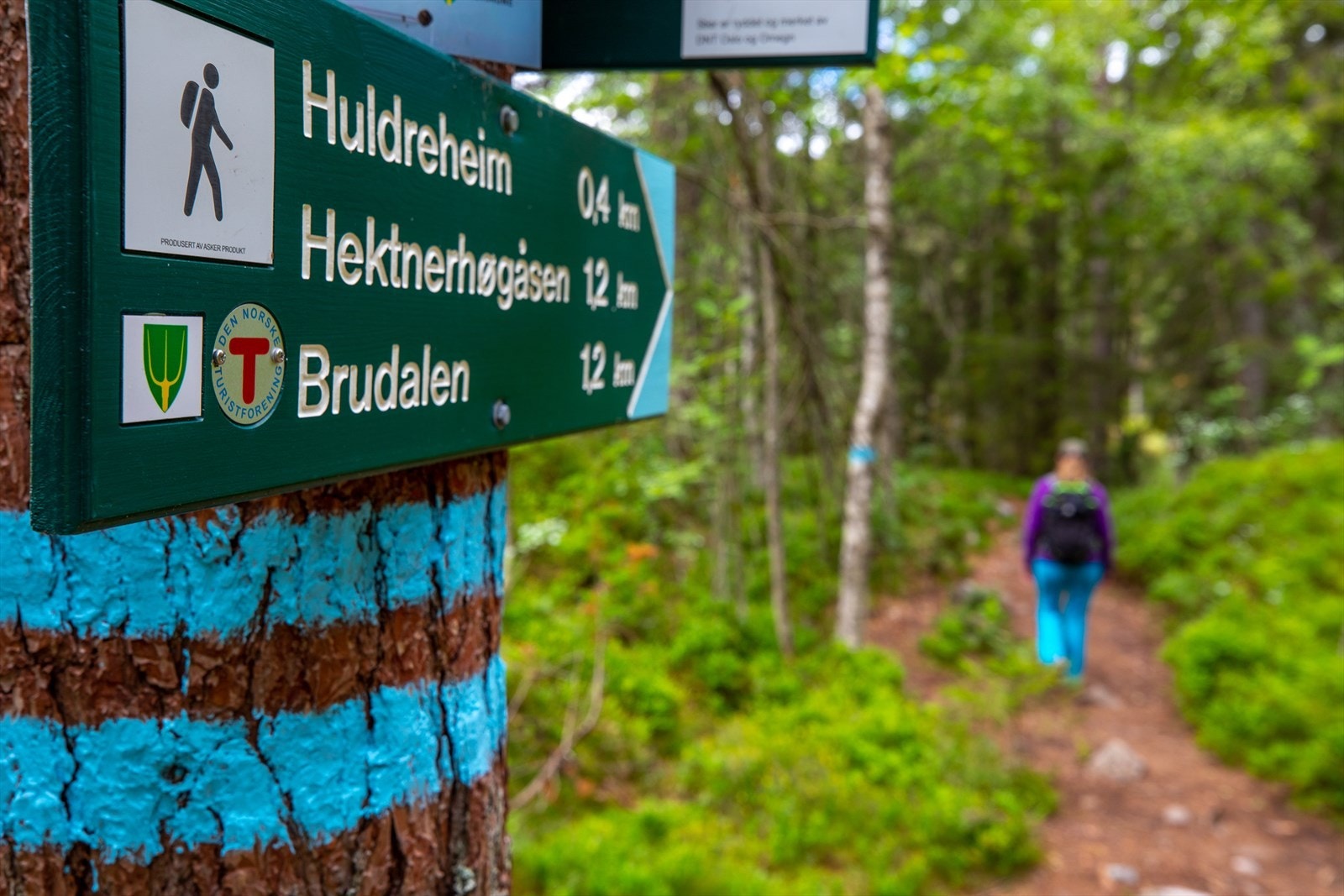 Man finner flere lysløyper, klatrevegg, et mylder av turstier og mulighet for blant annet stolpejakt. Galleribilde