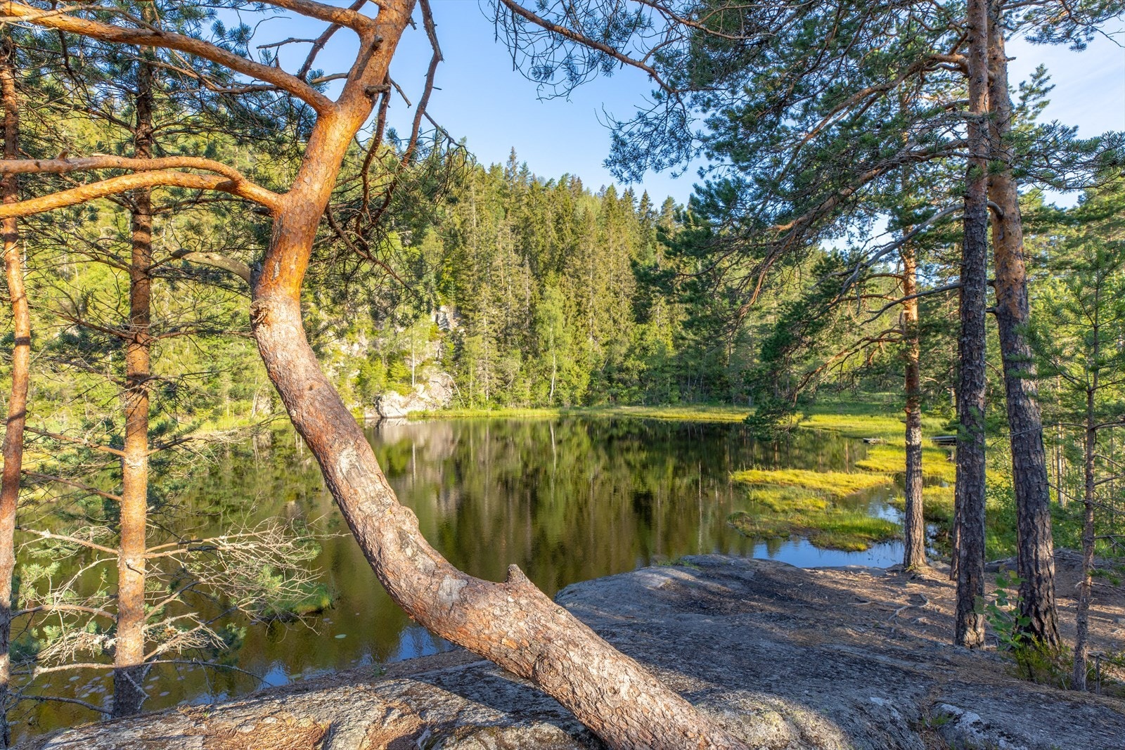 Svarttjern er et idyllisk og populært turmål i området. Galleribilde