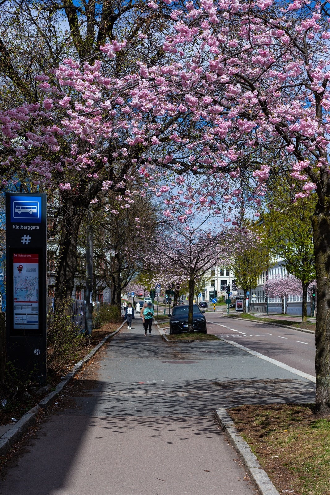 Hyggelige gater i nærområdet. Galleribilde