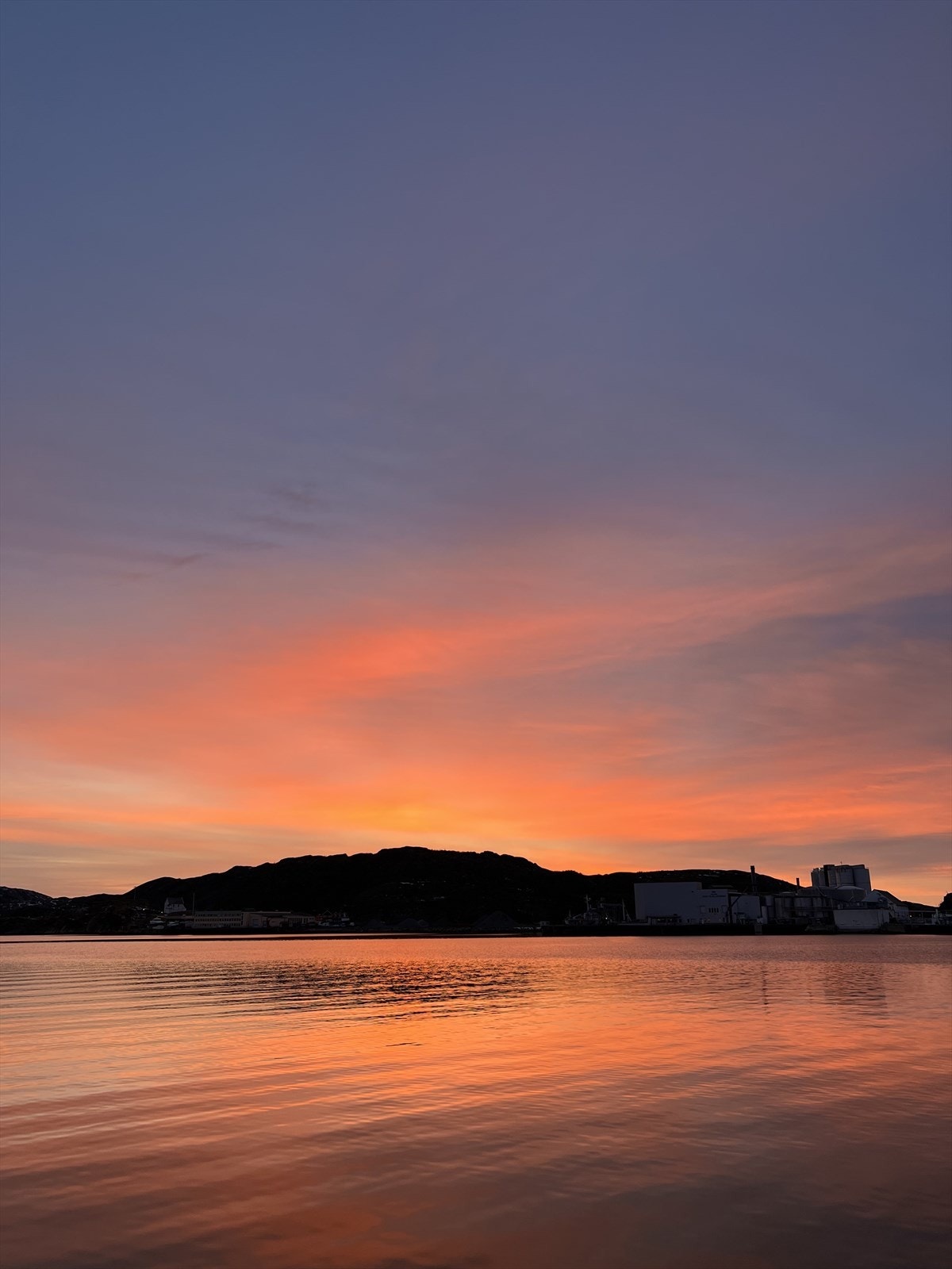 Privat bilde. Galleribilde