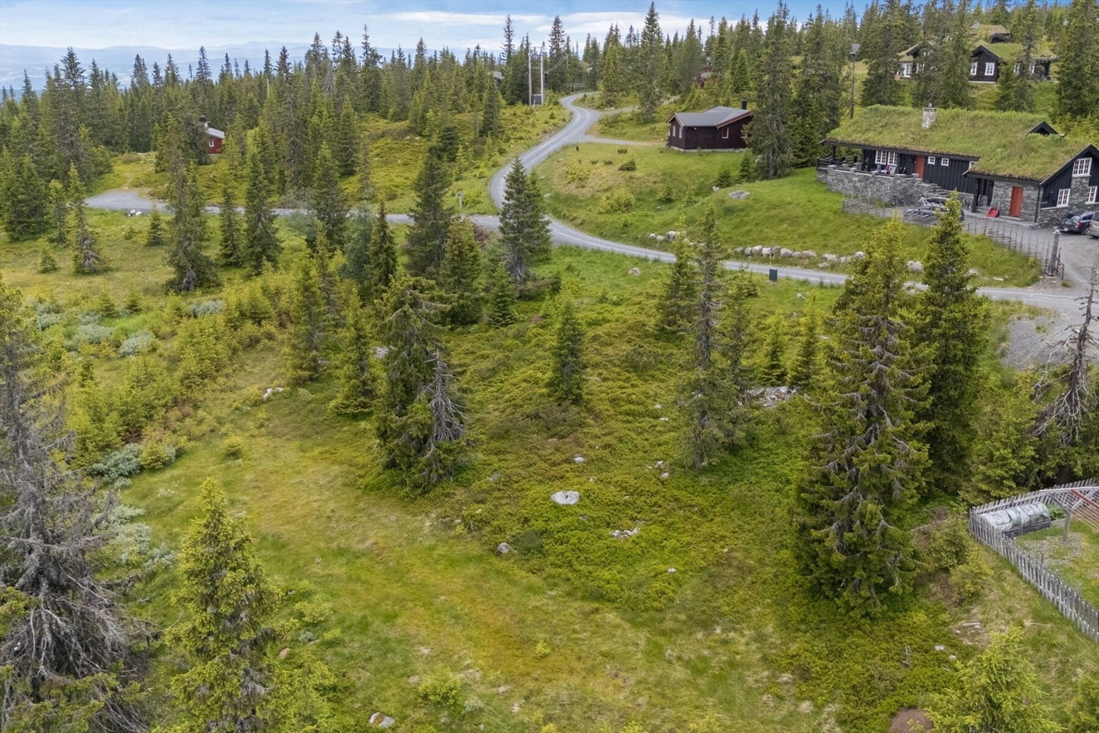 Foto fra tomta Galleribilde