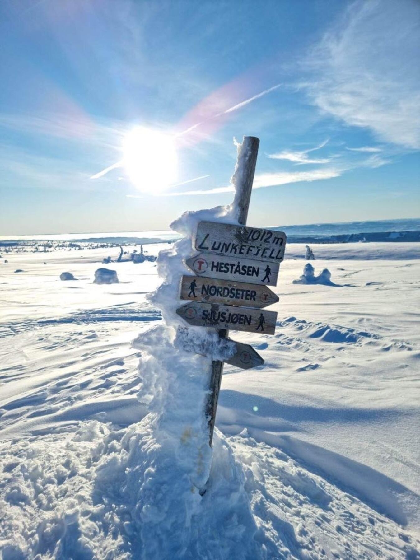 Lunkefjell, 1012 moh er et populær turmål i nærheten Galleribilde