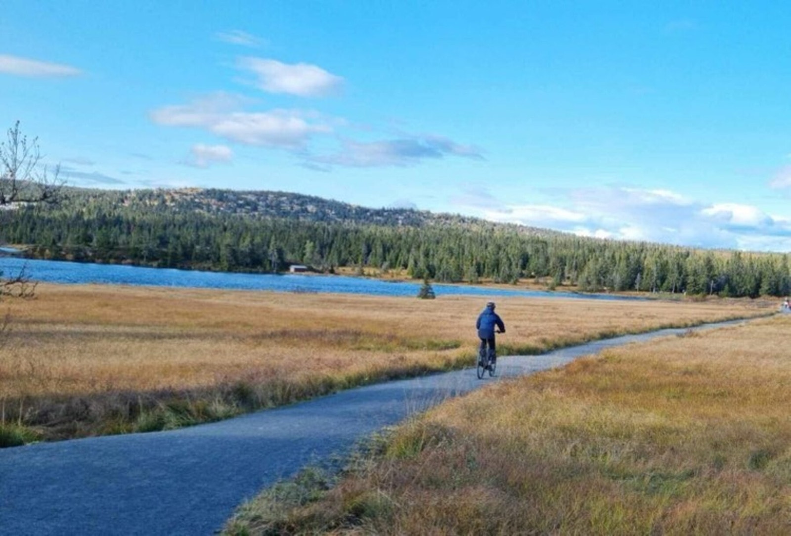 Turen rundt Sjusjøvannet er tilrettelagt med gode stier for både sykkel og andre. Galleribilde