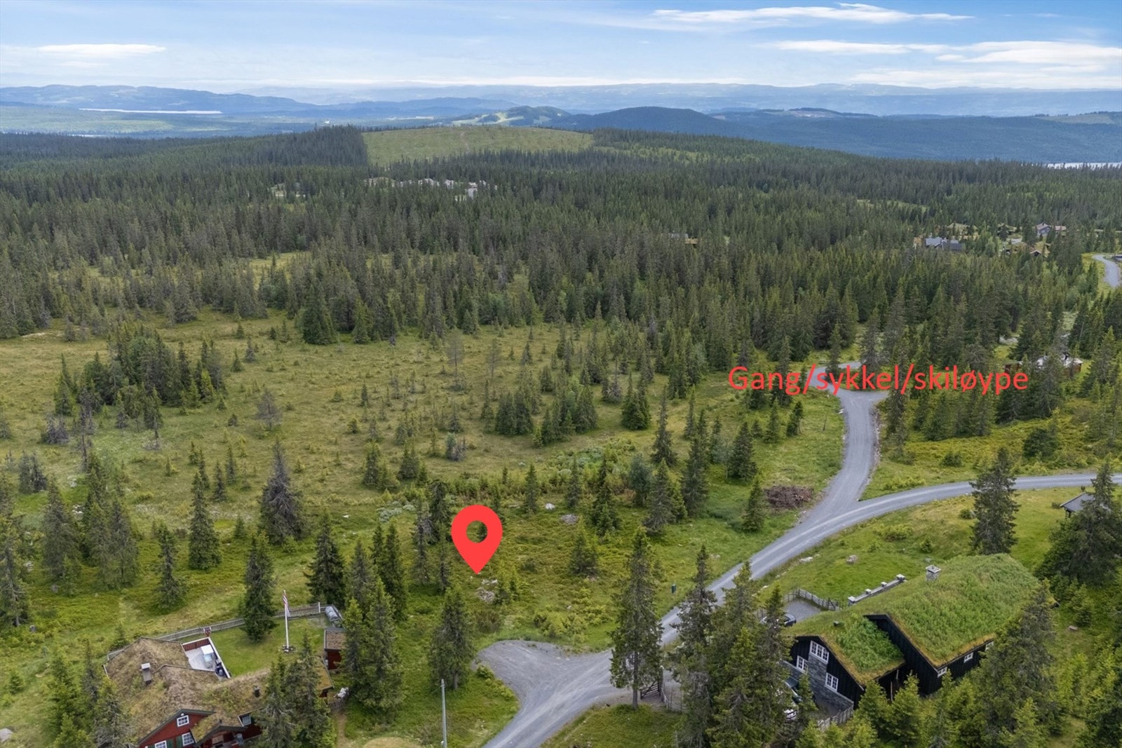 Dronefoto over tomt. Her i retning mot vest. Mesnavatnet sees til høyre i bildet Galleribilde