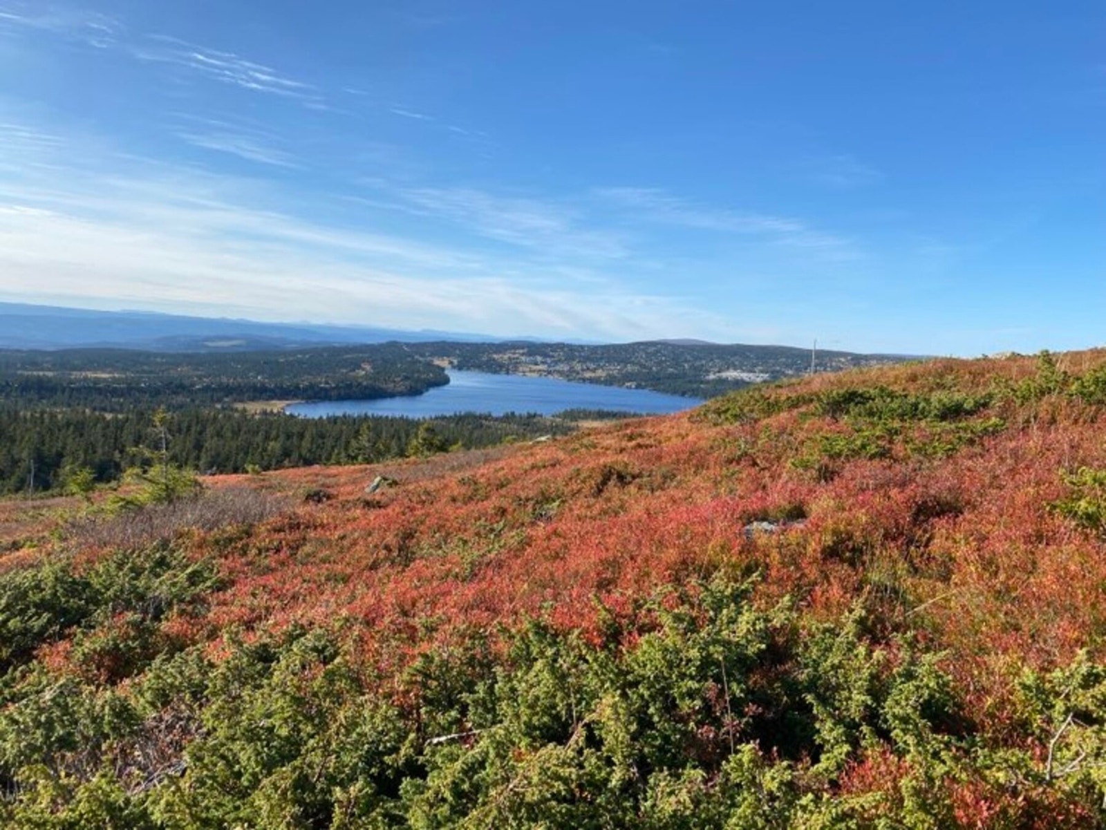Flotte høstfarger og nydelig terreng Galleribilde