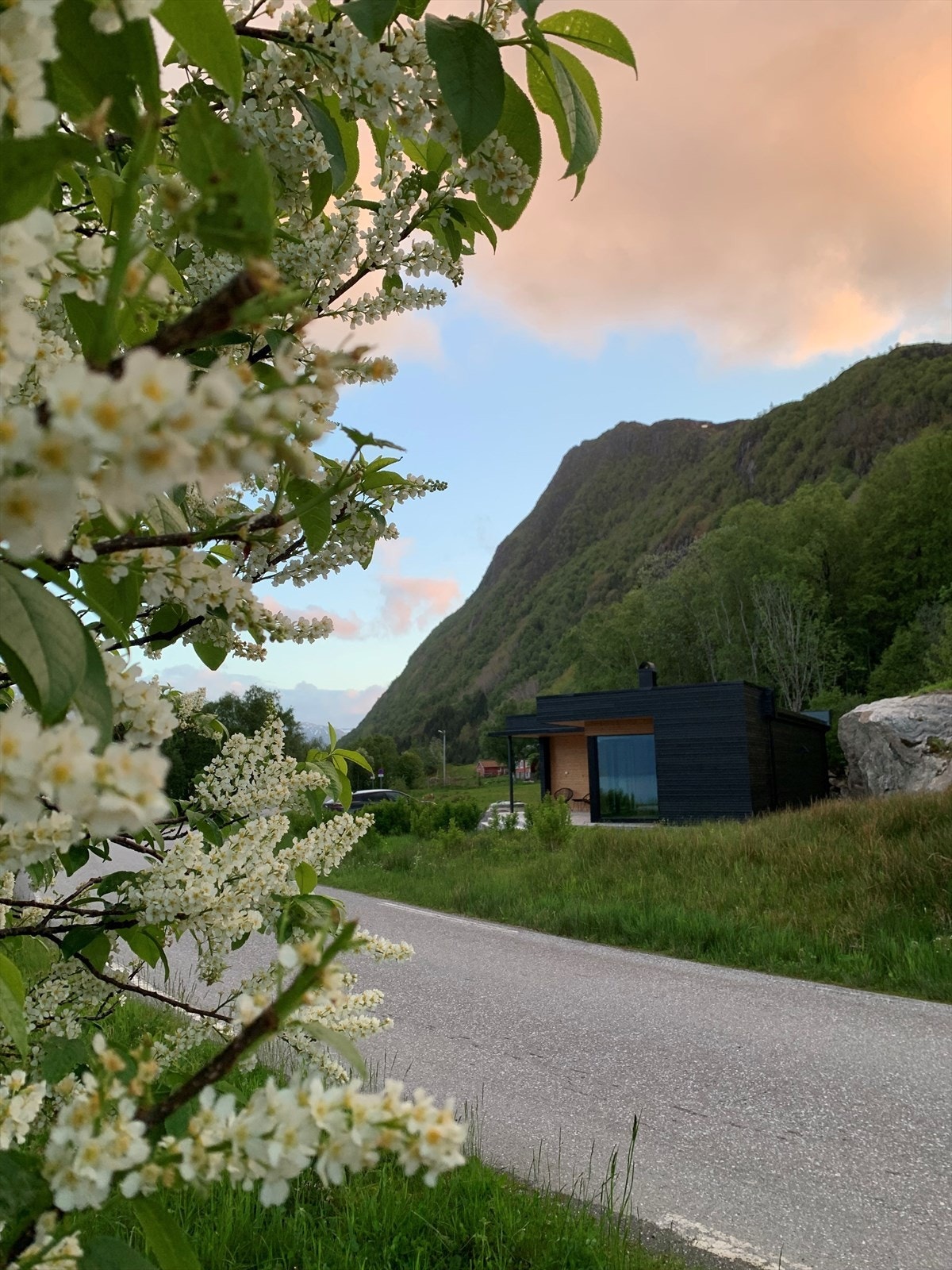 Vårstemning Galleribilde