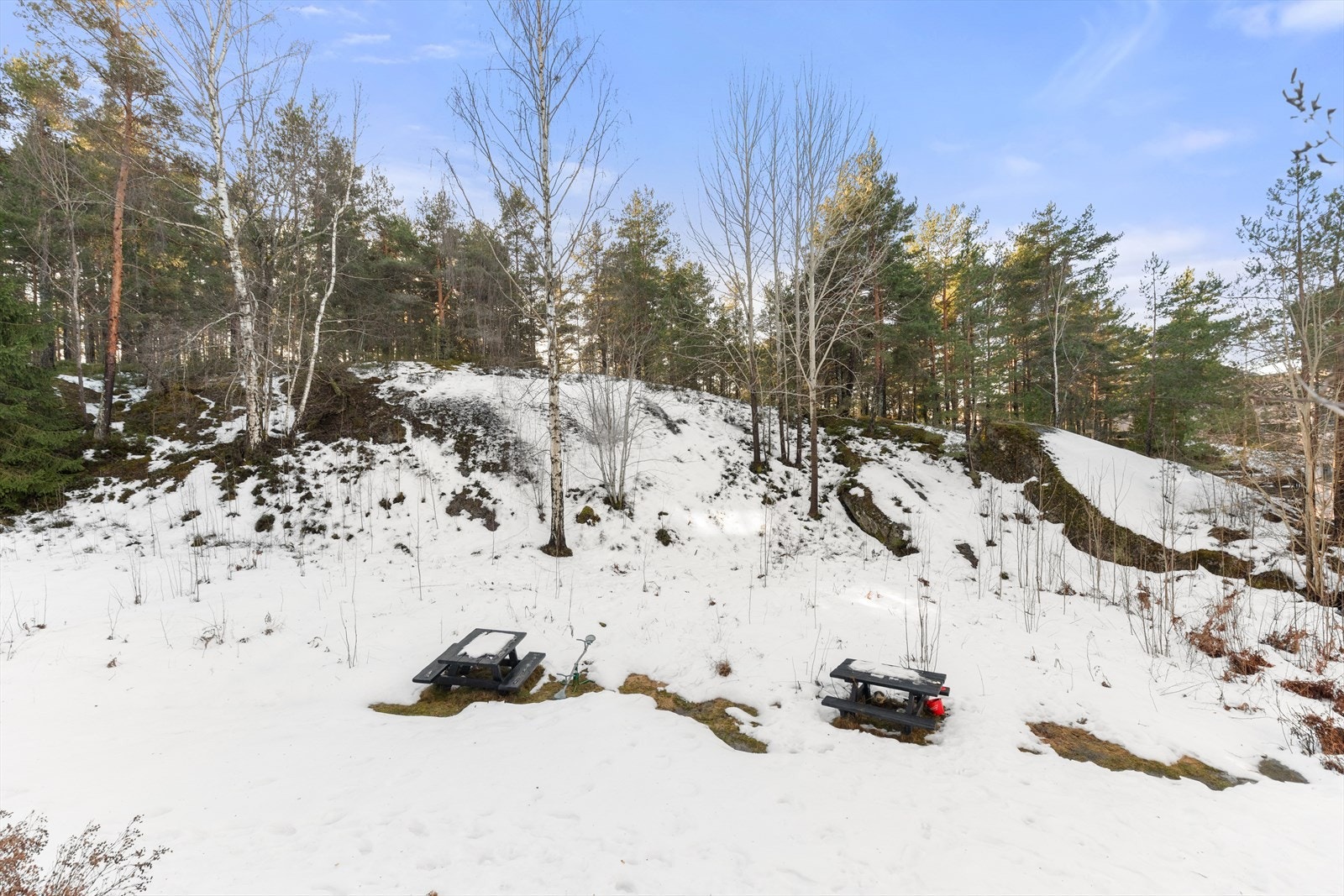 Utsikt fra terrassen Galleribilde