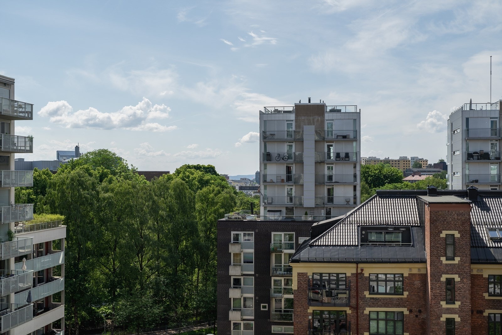 Grønt og frodig utsyn over Akerselva Galleribilde