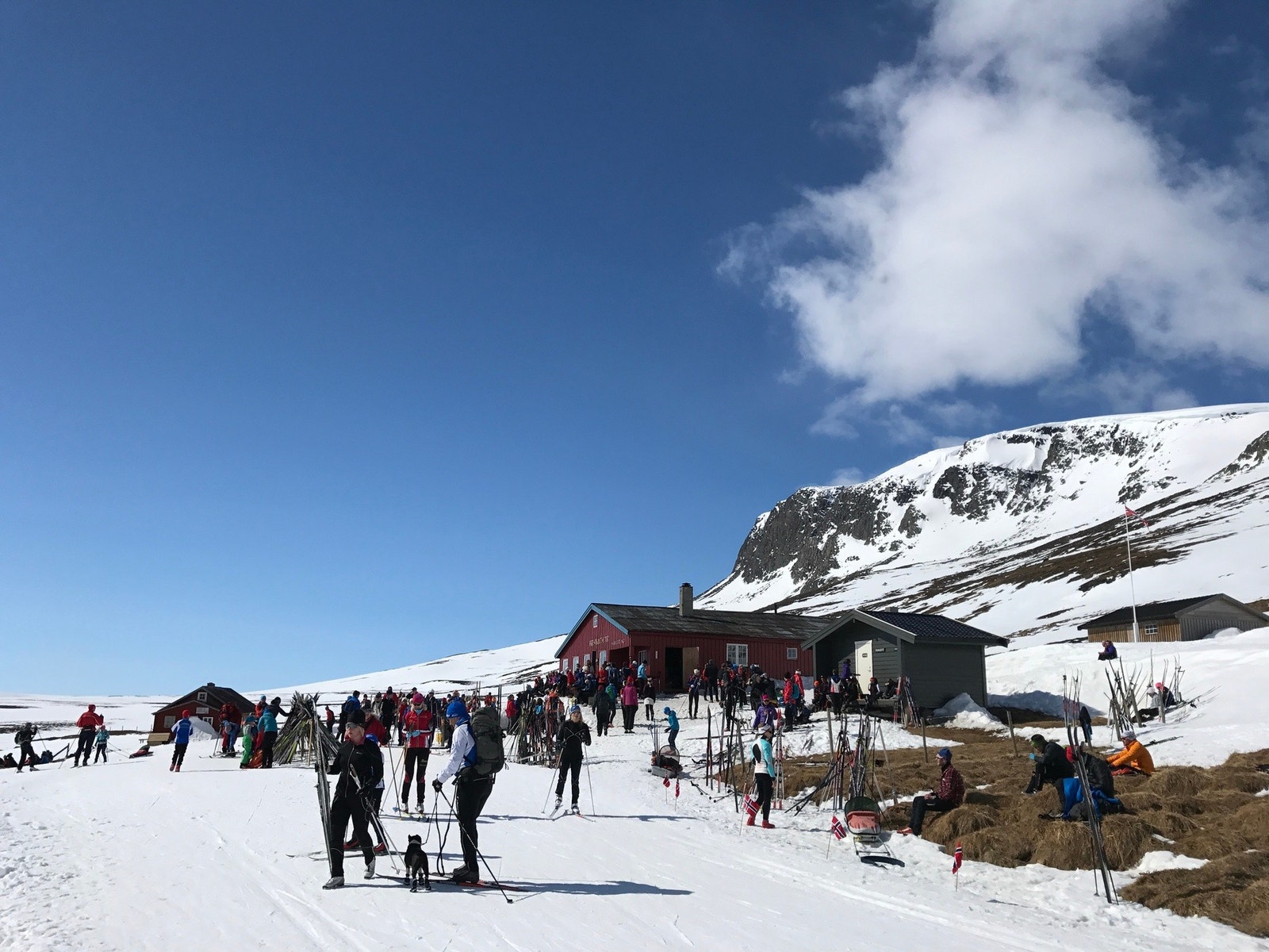 Presholtseter, populært turmål året rund Galleribilde