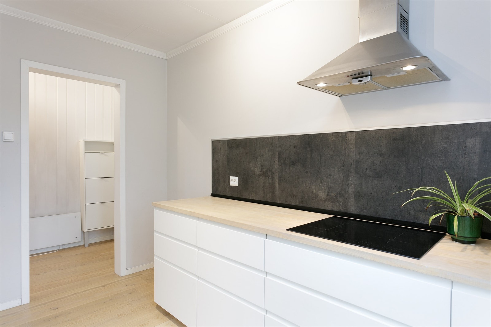 Det er kjøl/fryseskap, oppvaskmaskin, induksjonstopp, stekeovn og komfyrvakt. Kjøkkenventilator med kullfilter. Galleribilde
