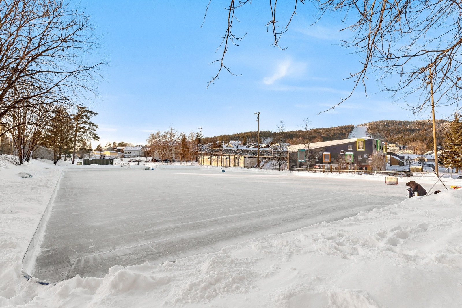 Ishockeybane på Tonsenhagen Galleribilde