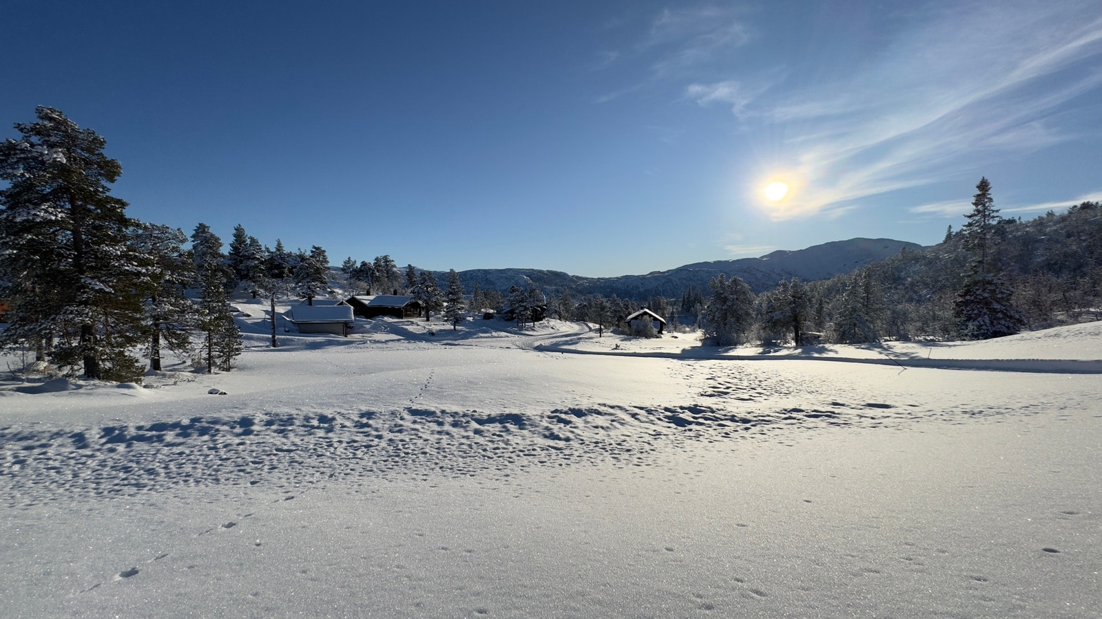 Flott opparbeidet tomt øverst i hytte feltet. Galleribilde
