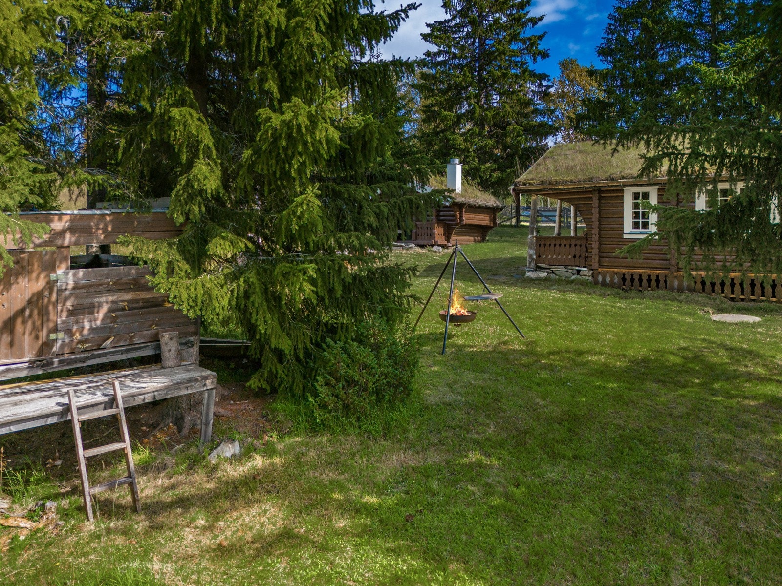 Laget til en artig trehytte Galleribilde