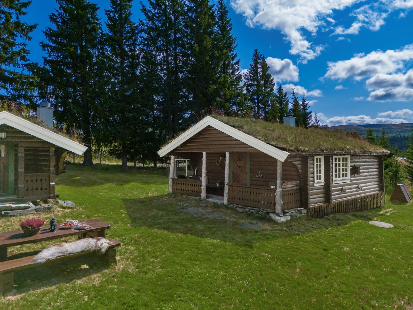 Hyggelig hyttetun med kort vei mellom byggene Galleribilde