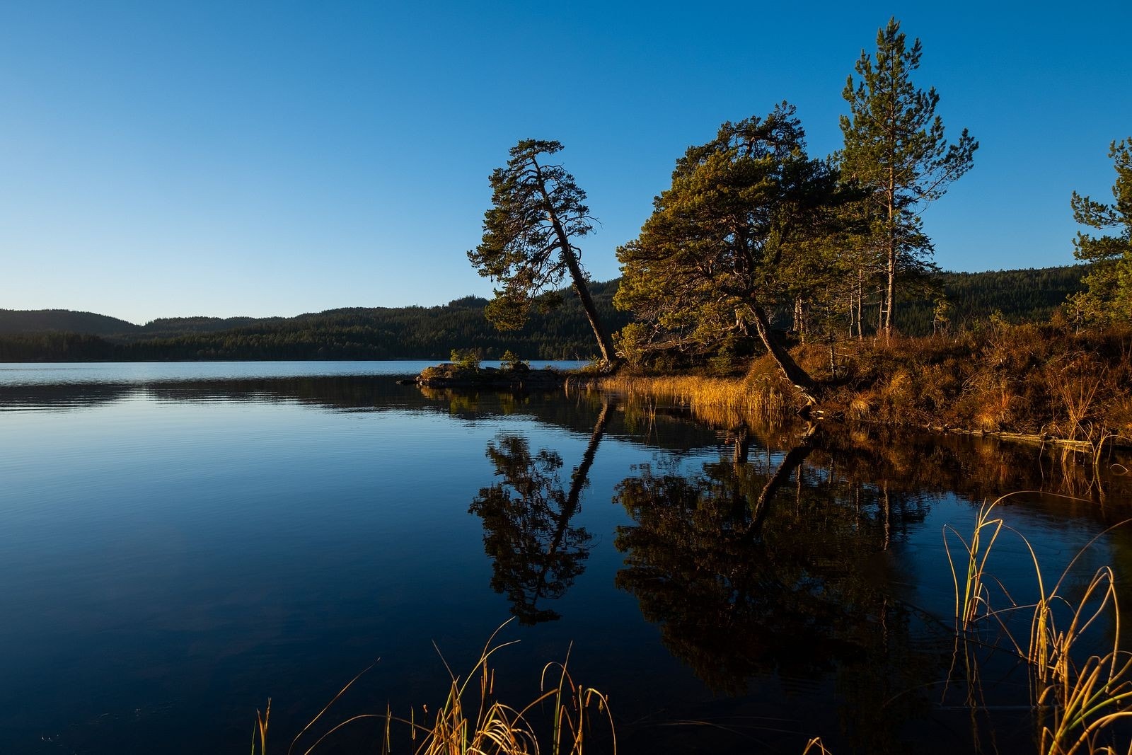 Bymarka - Her er turmulighetene mange, både sommer og vinter Galleribilde