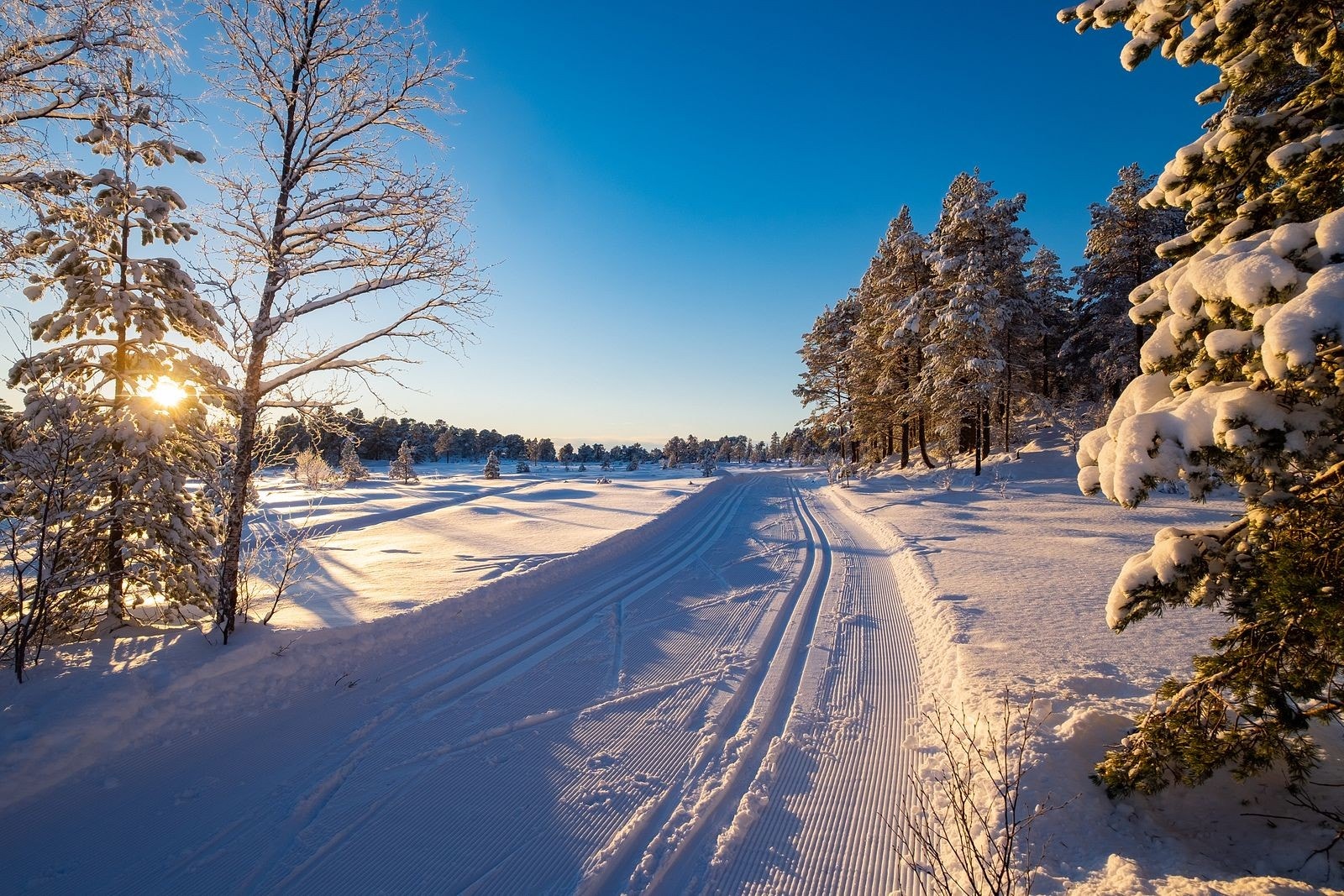 Bymarka - Her er turmulighetene mange, både sommer og vinter Galleribilde