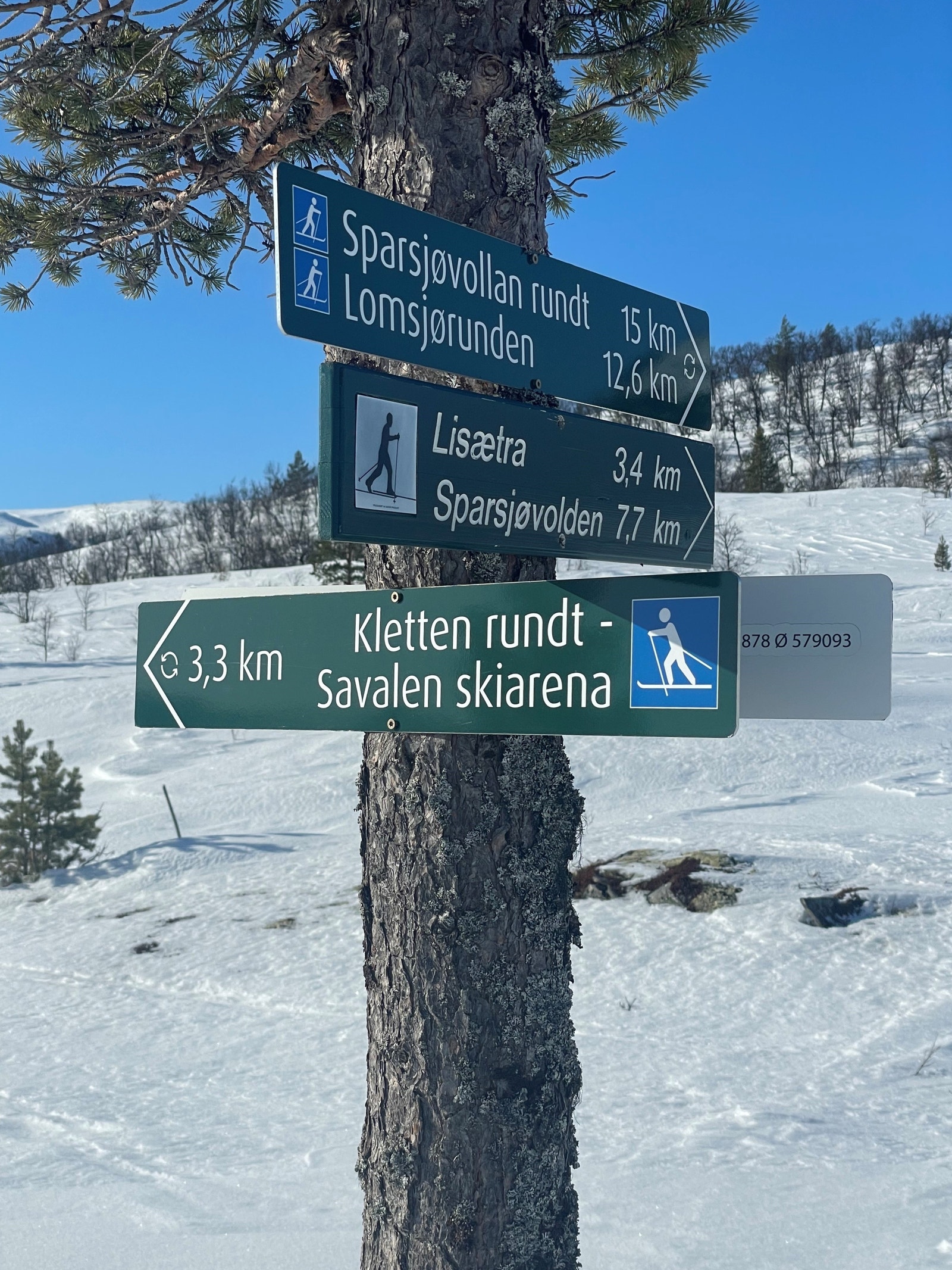 Det er godt merkede løyper i hele området for både korte og lange turer Galleribilde