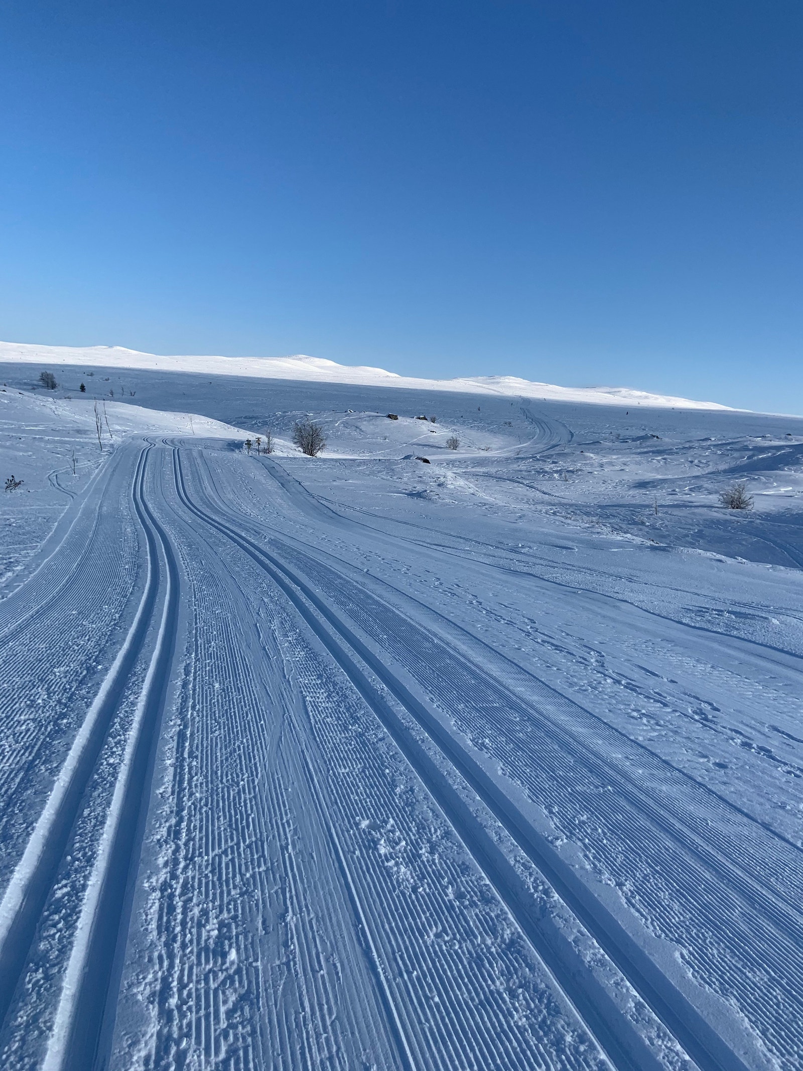 Stort utvalg av oppkjørte løyper Galleribilde