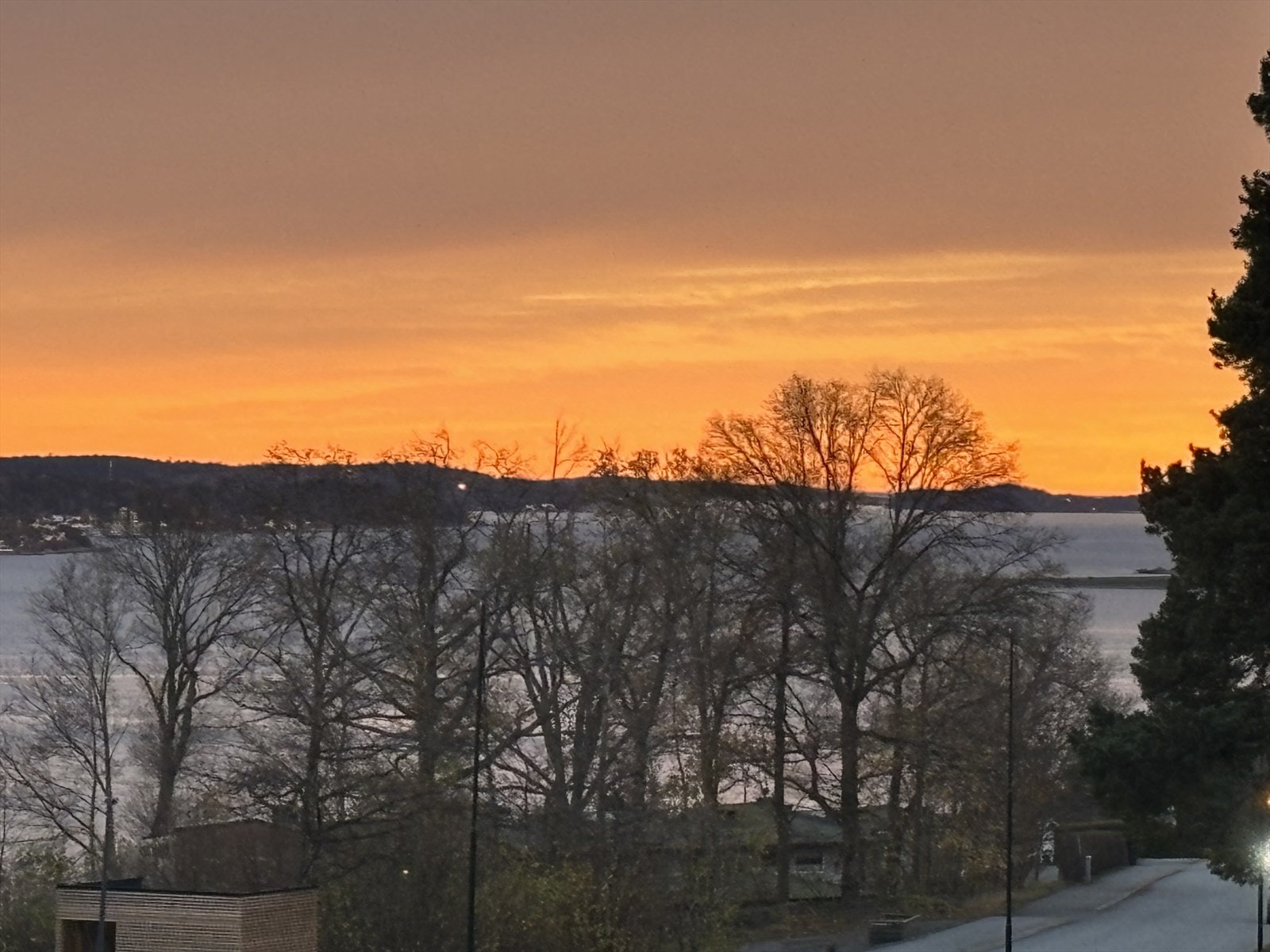 Privat bilde Galleribilde