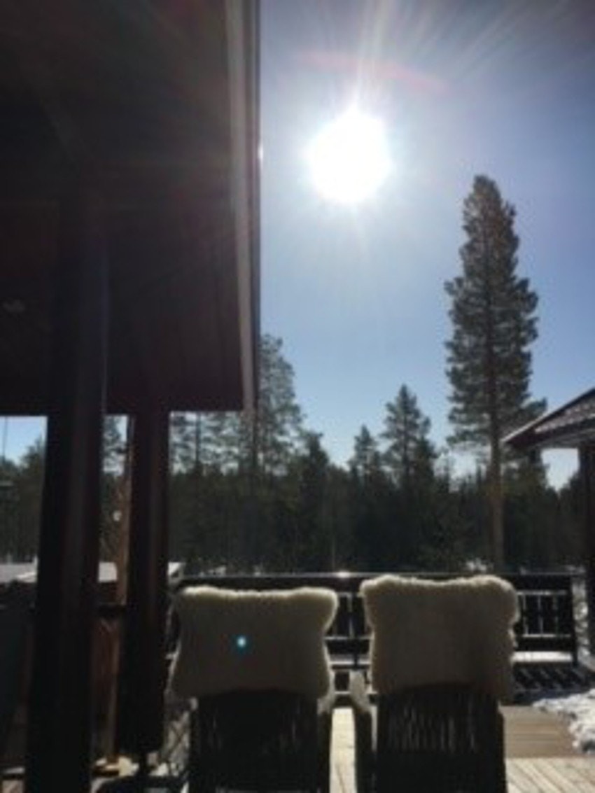 Flotte solforhold på terrassen. Galleribilde