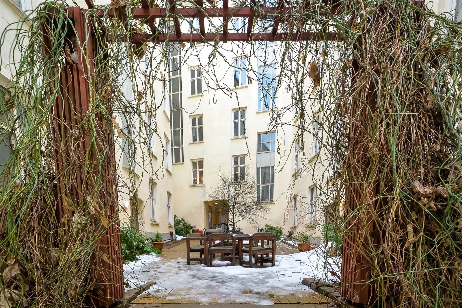 Den hyggelige bakgården er ekstra frodig og fin om sommeren. Galleribilde