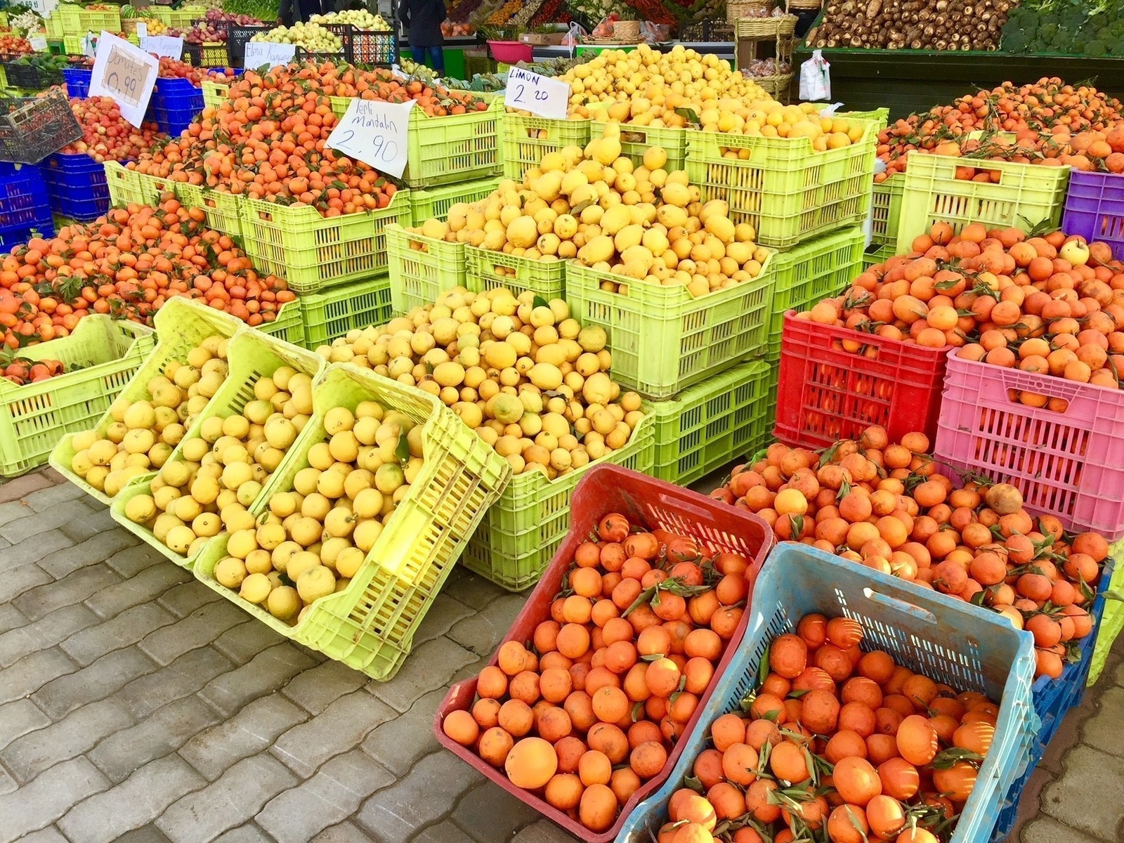 Güzelyurt er sentrum for den store sitrusproduksjonen og jordbærplantasjene Galleribilde