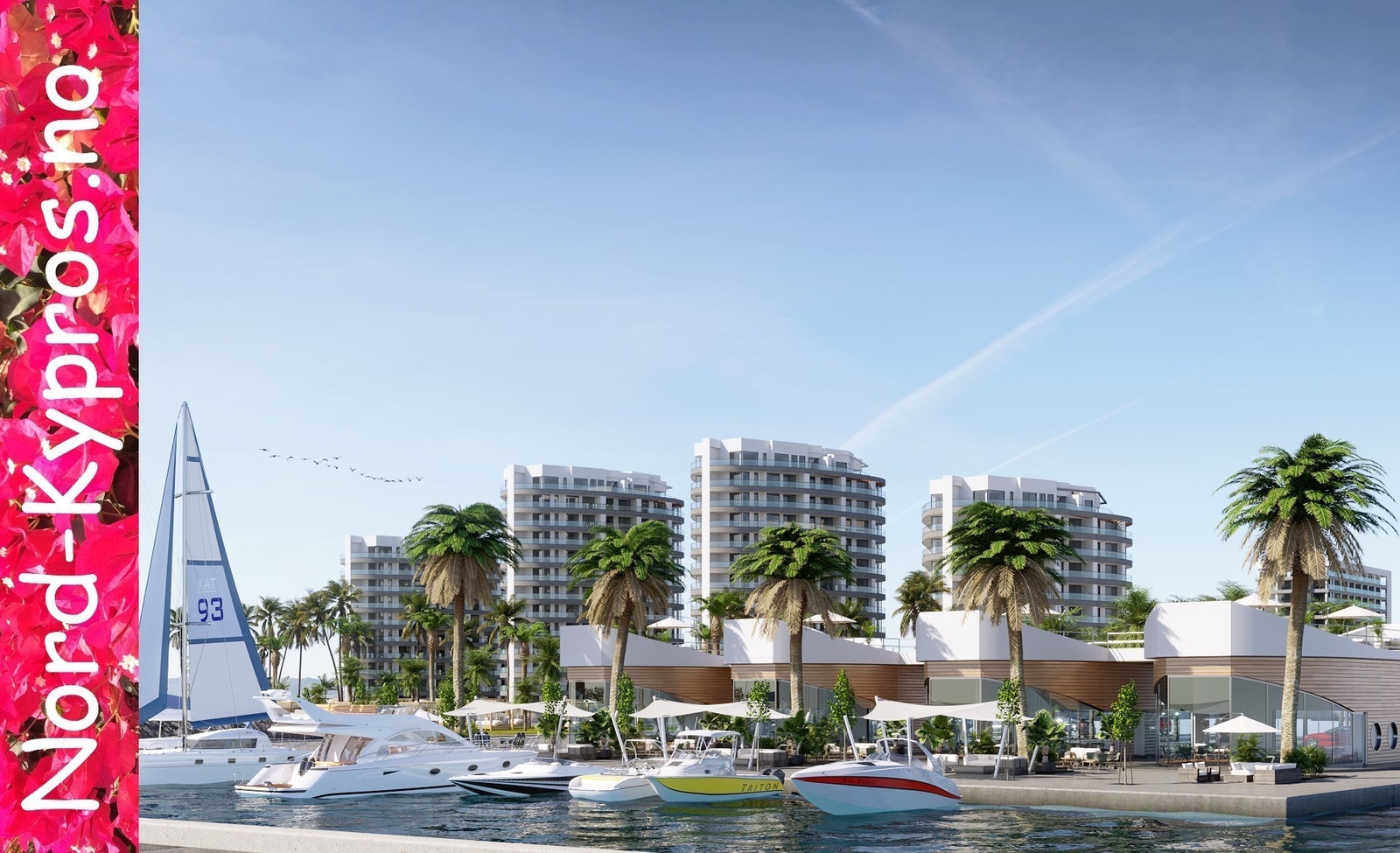 Aphrodite Wellness Galleribilde