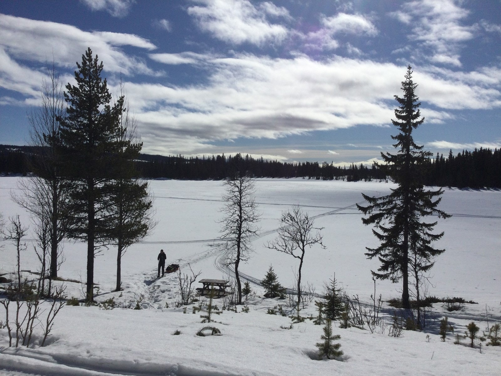 Fra og med vinterferien er det oppkjørte skiløyper frem til eiendommen. Selgers eget bilde. Galleribilde