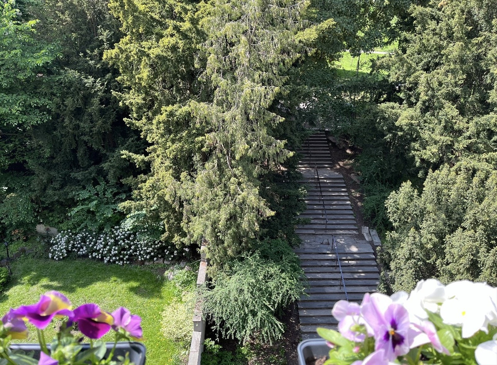 Bilde tatt av selger på sommeren. Galleribilde