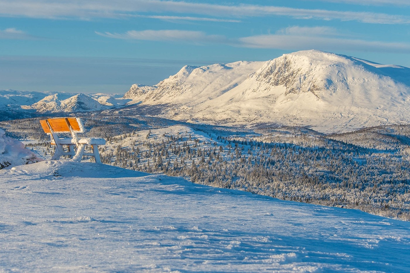 Fra Auenhaugen. Galleribilde