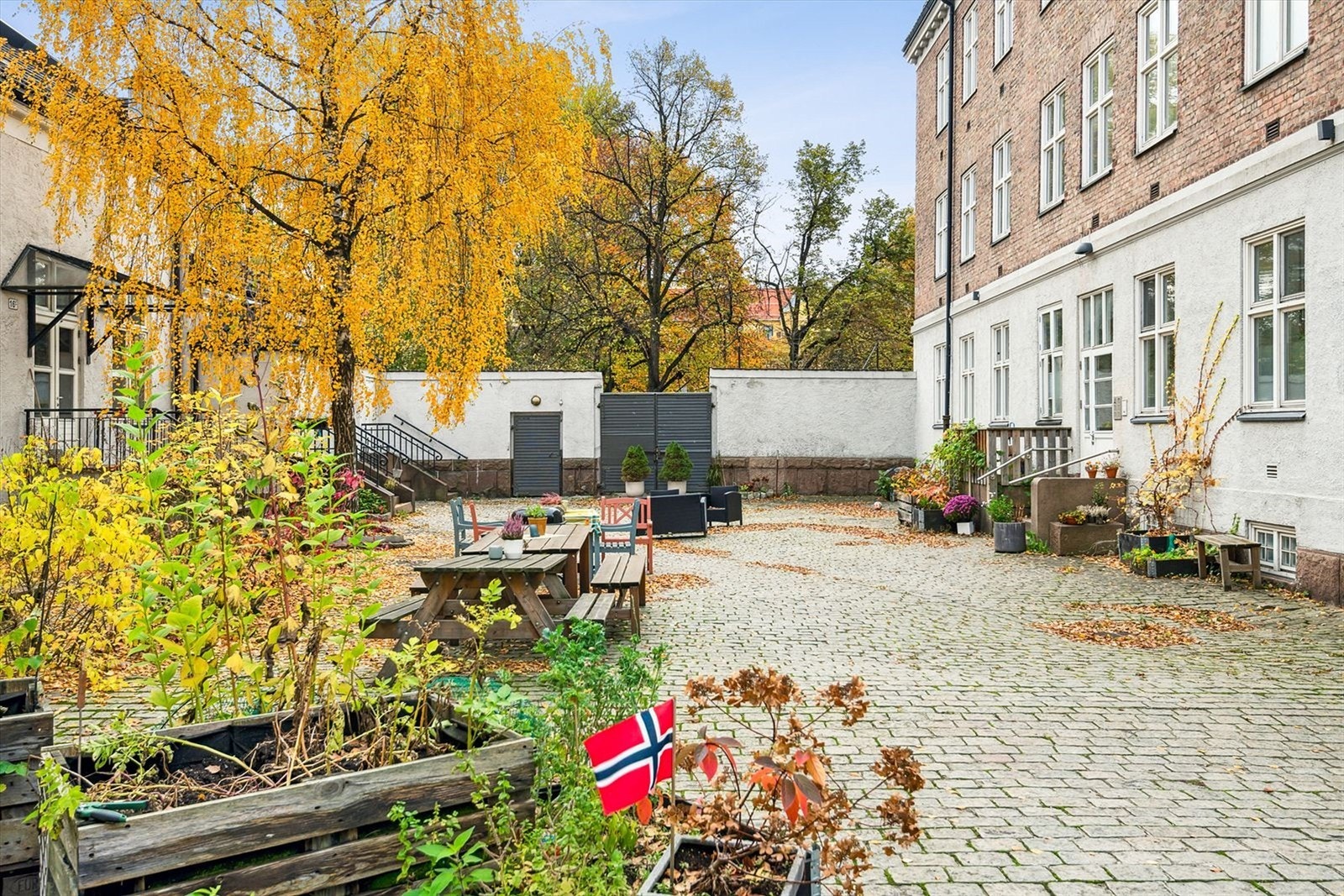 Hyggelig bakgård. Galleribilde