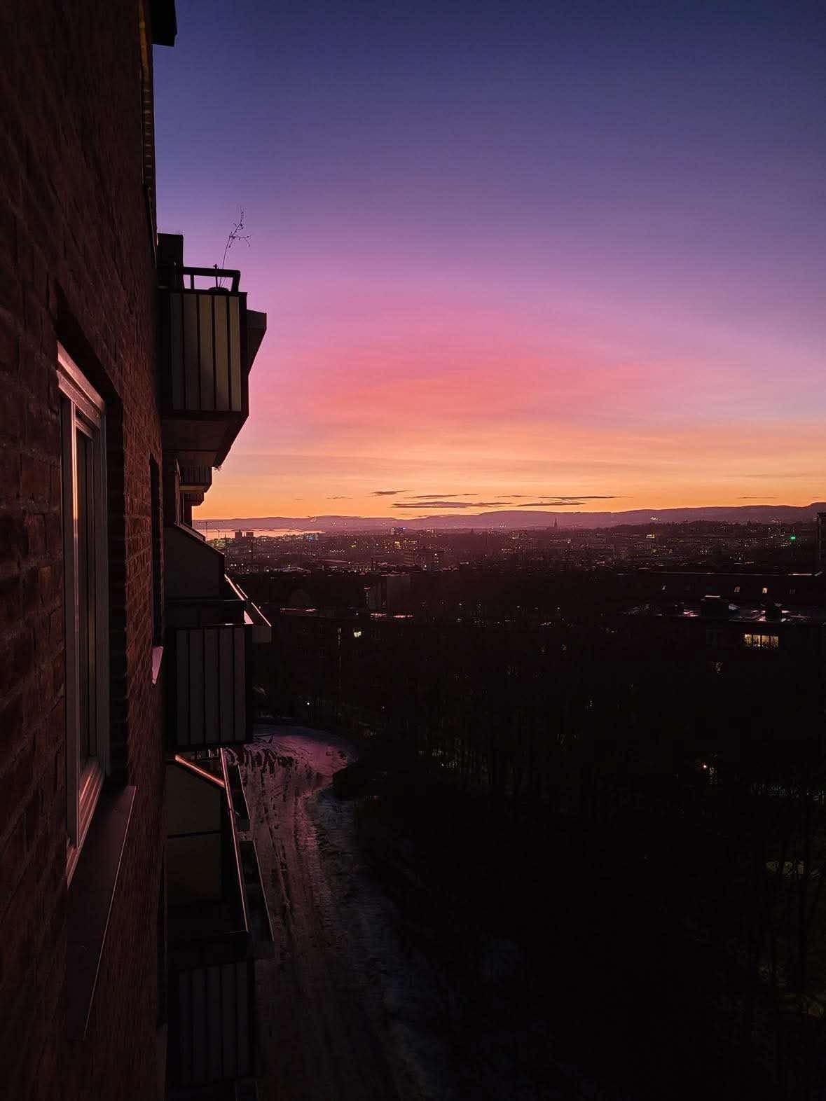 Selgers egne bilder Galleribilde